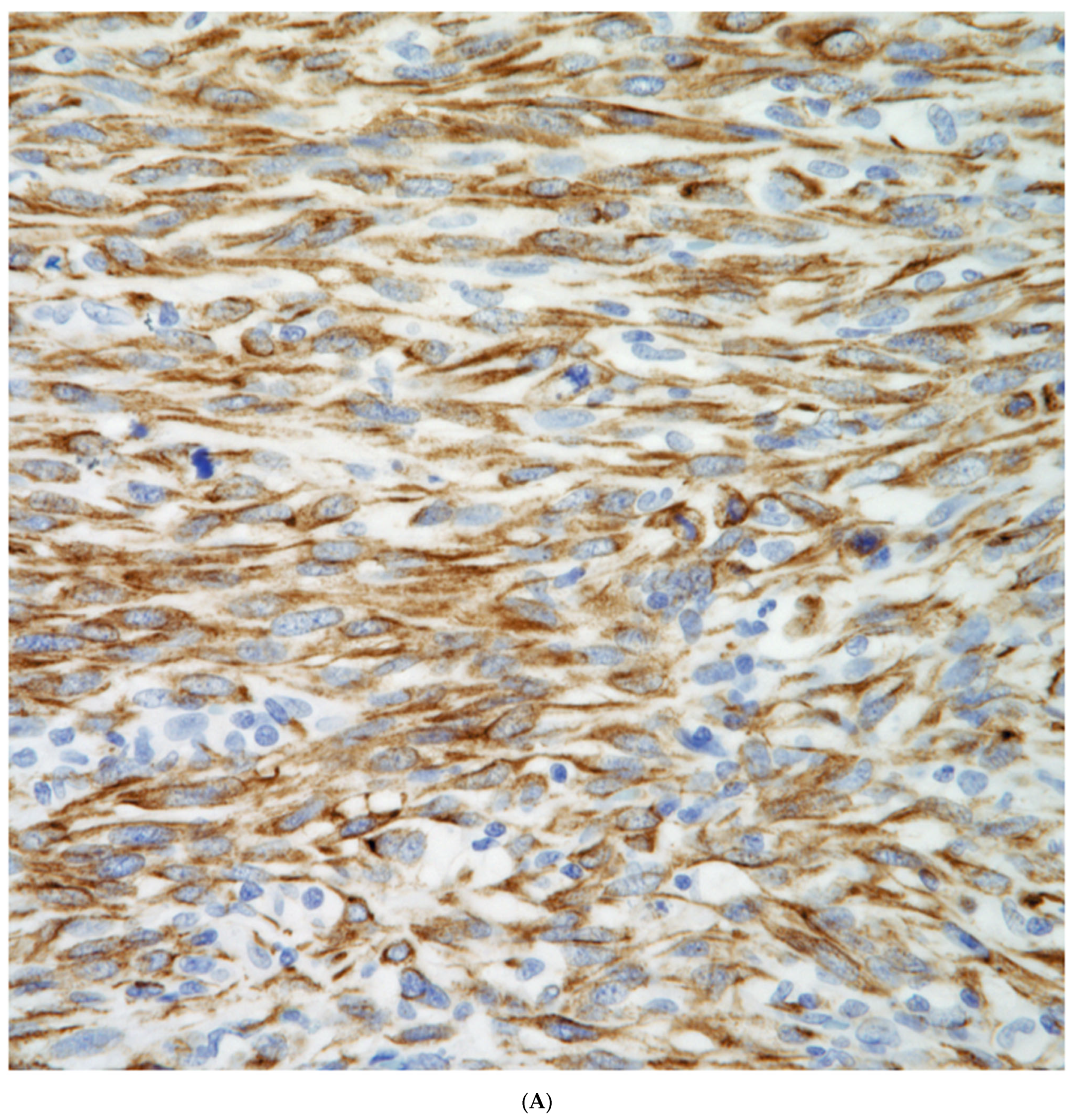 Diagnostics 13 02477 g008a