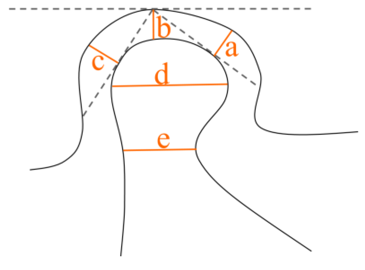Diagnostics 13 02482 g001