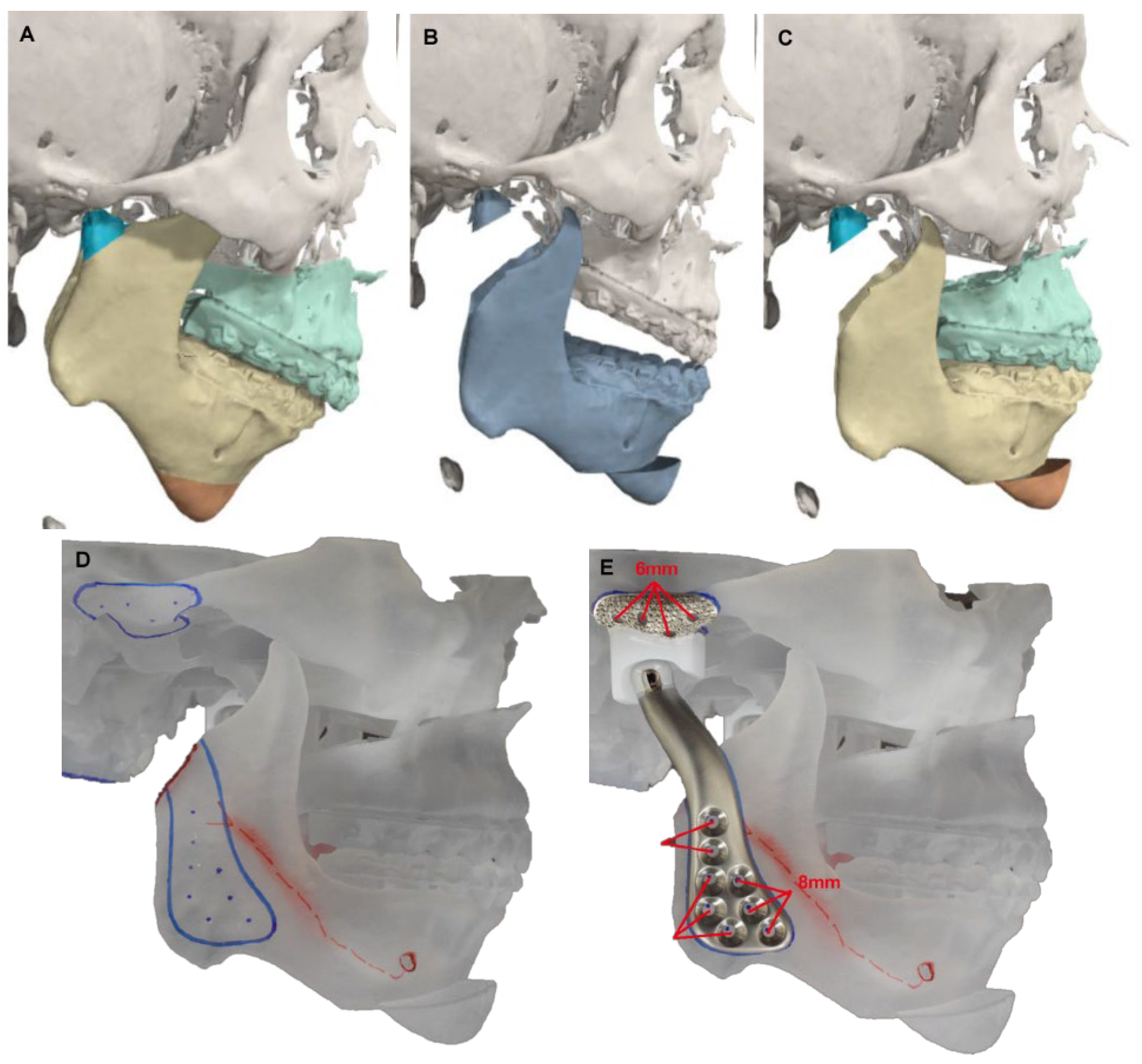 Diagnostics 13 02486 g002