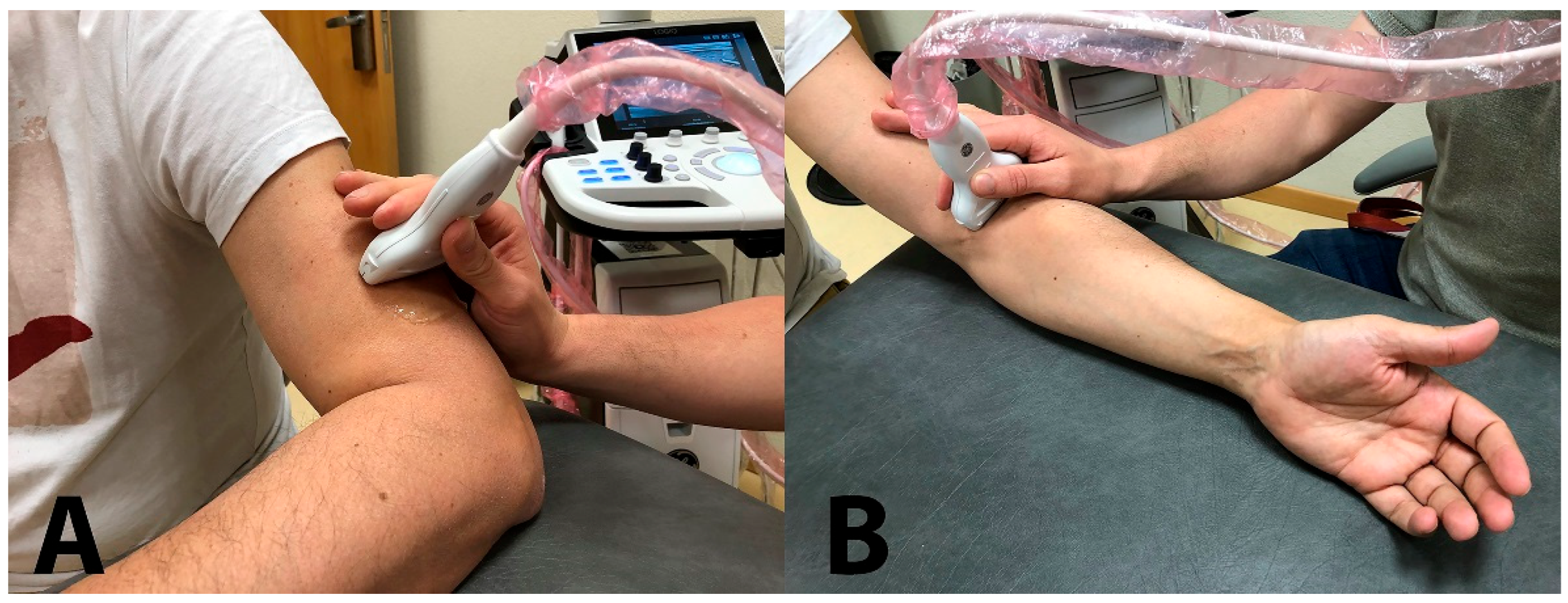 Diagnostics 13 02488 g002