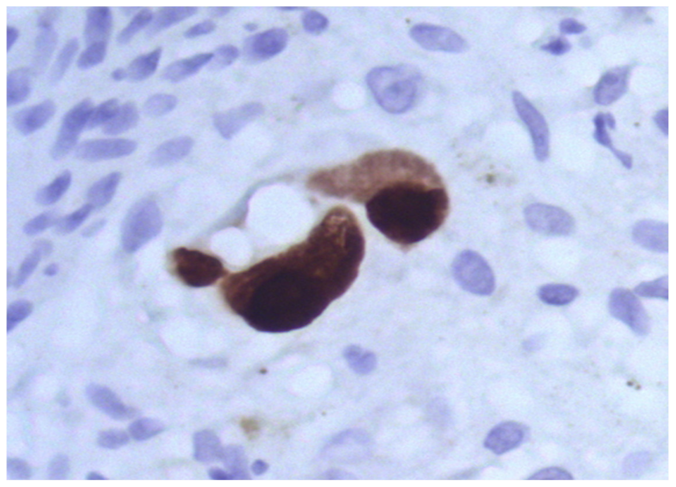 Diagnostics 13 02499 g003