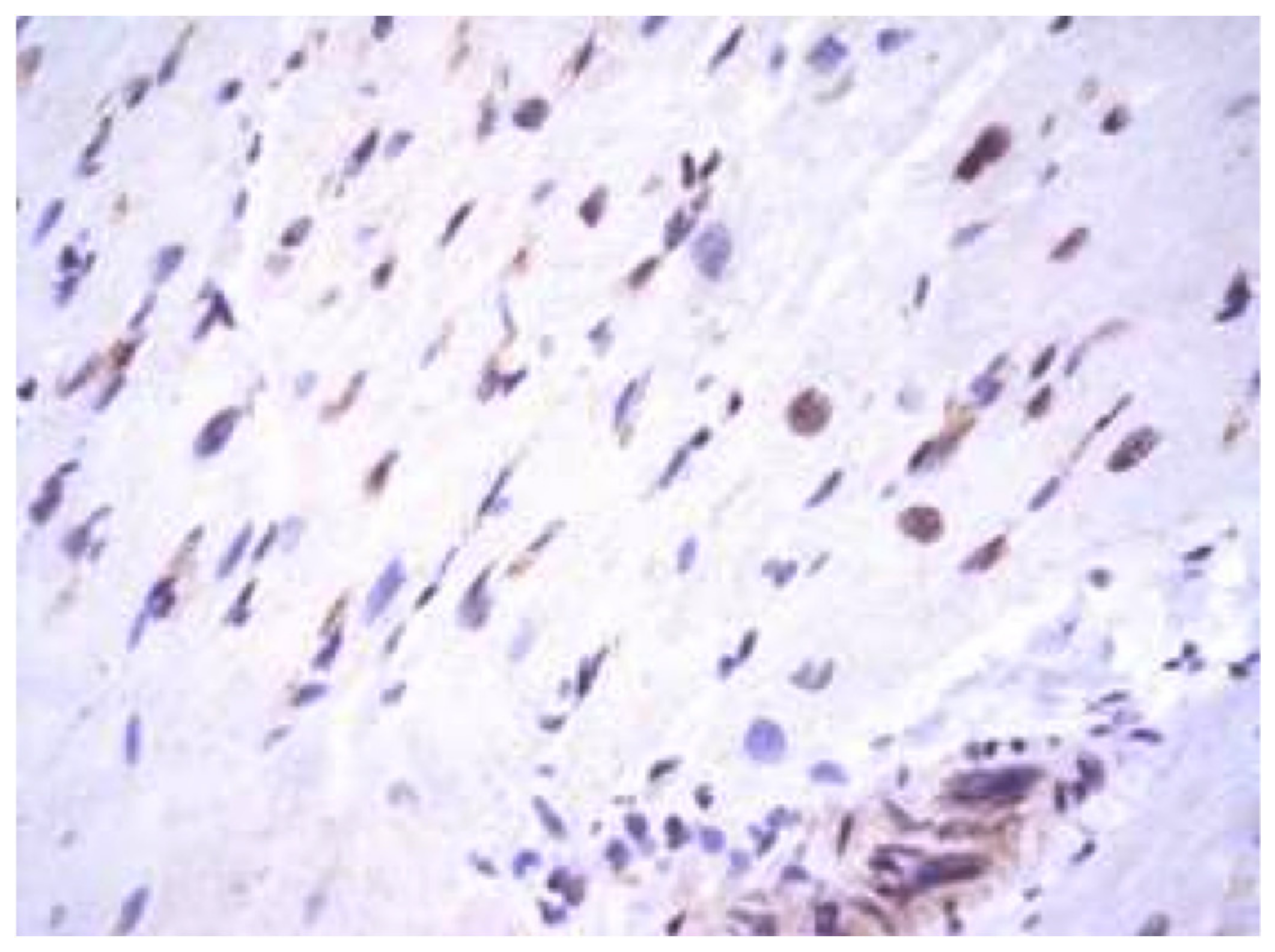 Diagnostics 13 02499 g004