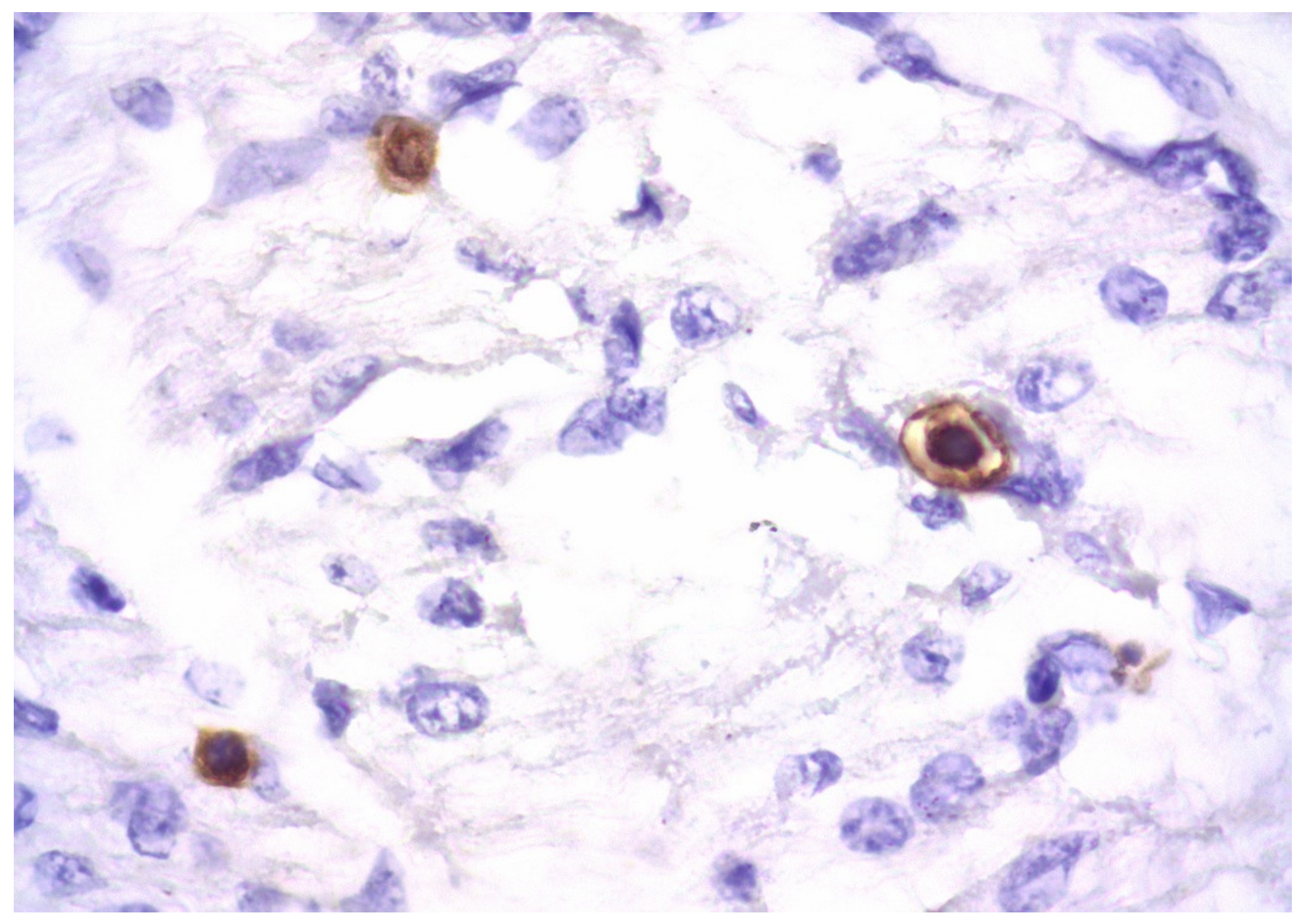 Diagnostics 13 02499 g006