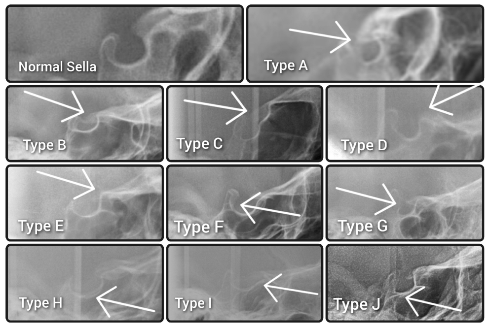 Diagnostics 13 02510 g001 Diagnostics 13 02510 g001