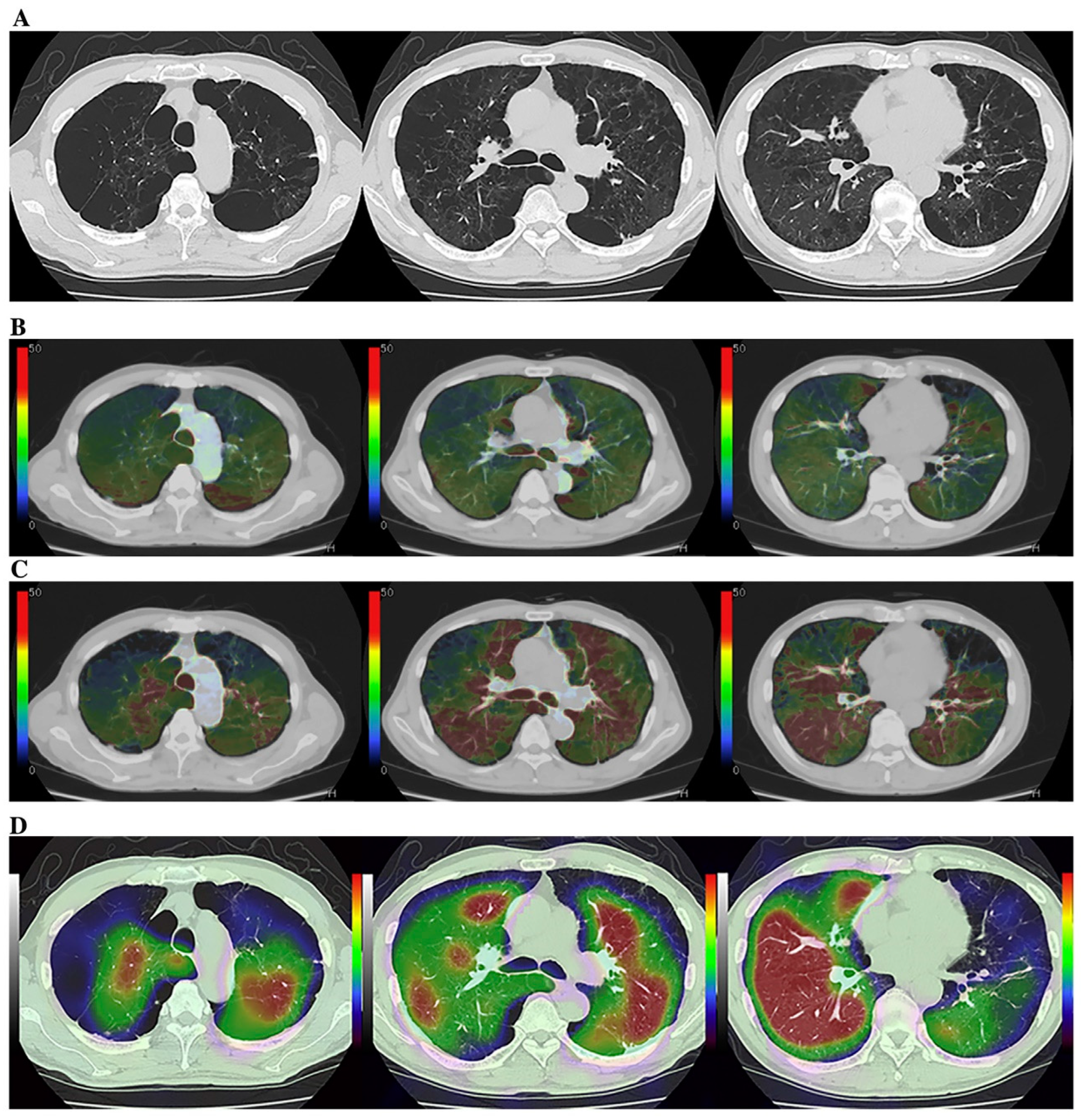 Diagnostics 13 02518 g004