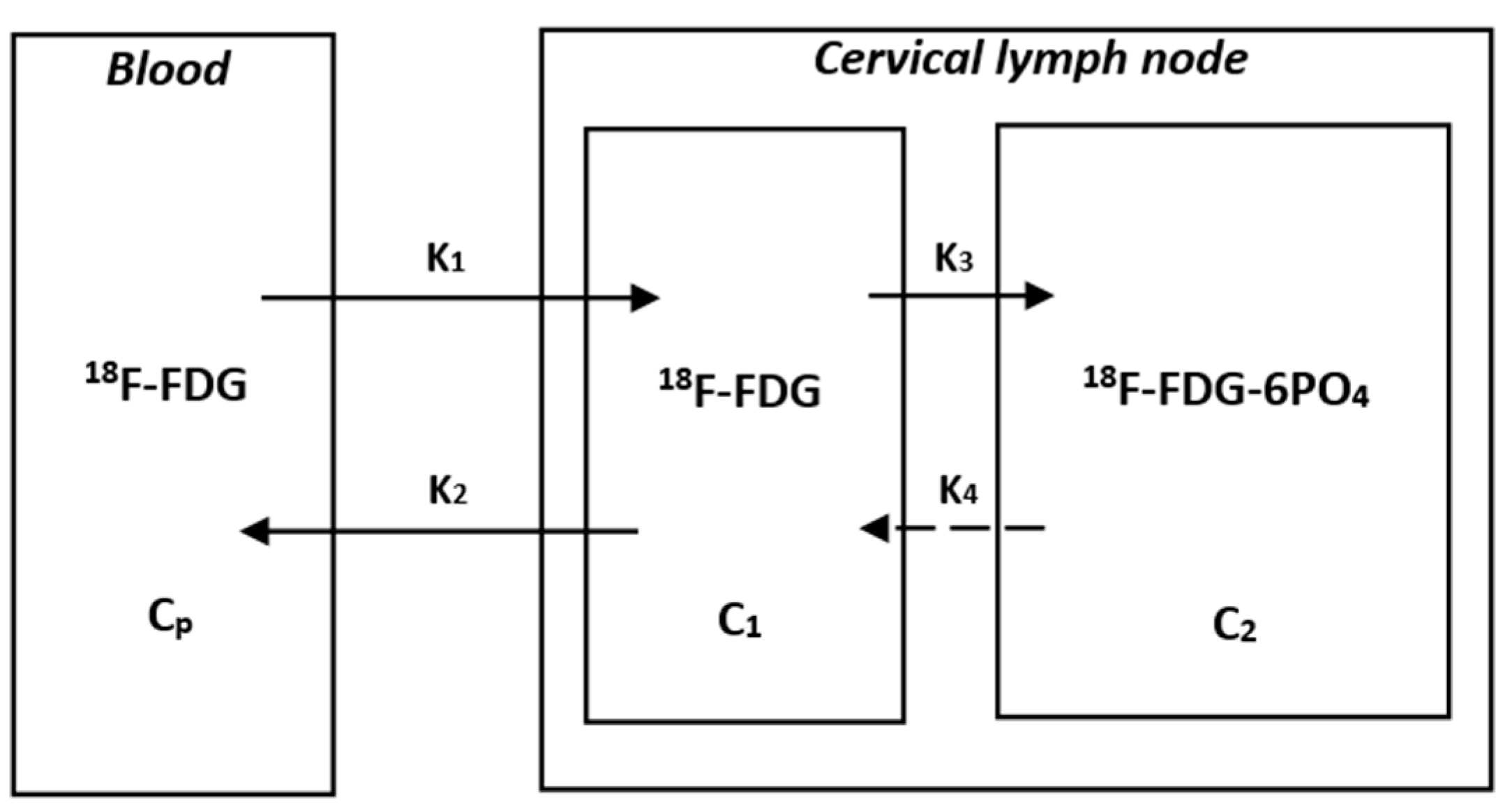 Diagnostics 13 02530 g001 Diagnostics 13 02530 g001