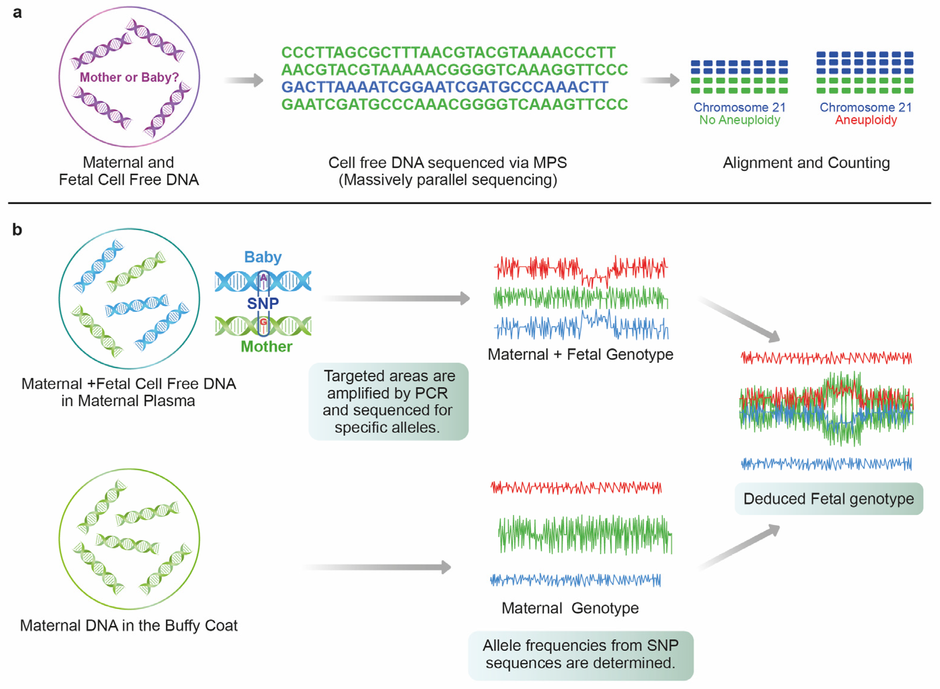 Diagnostics 13 02532 g001
