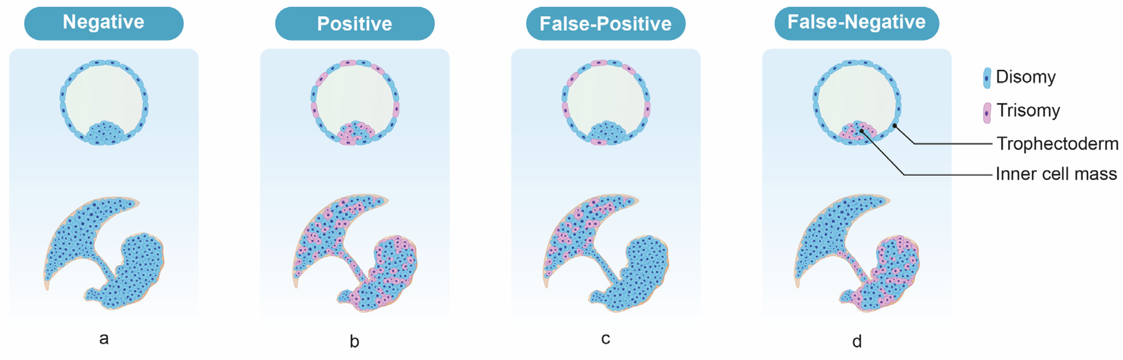 Diagnostics 13 02532 g003