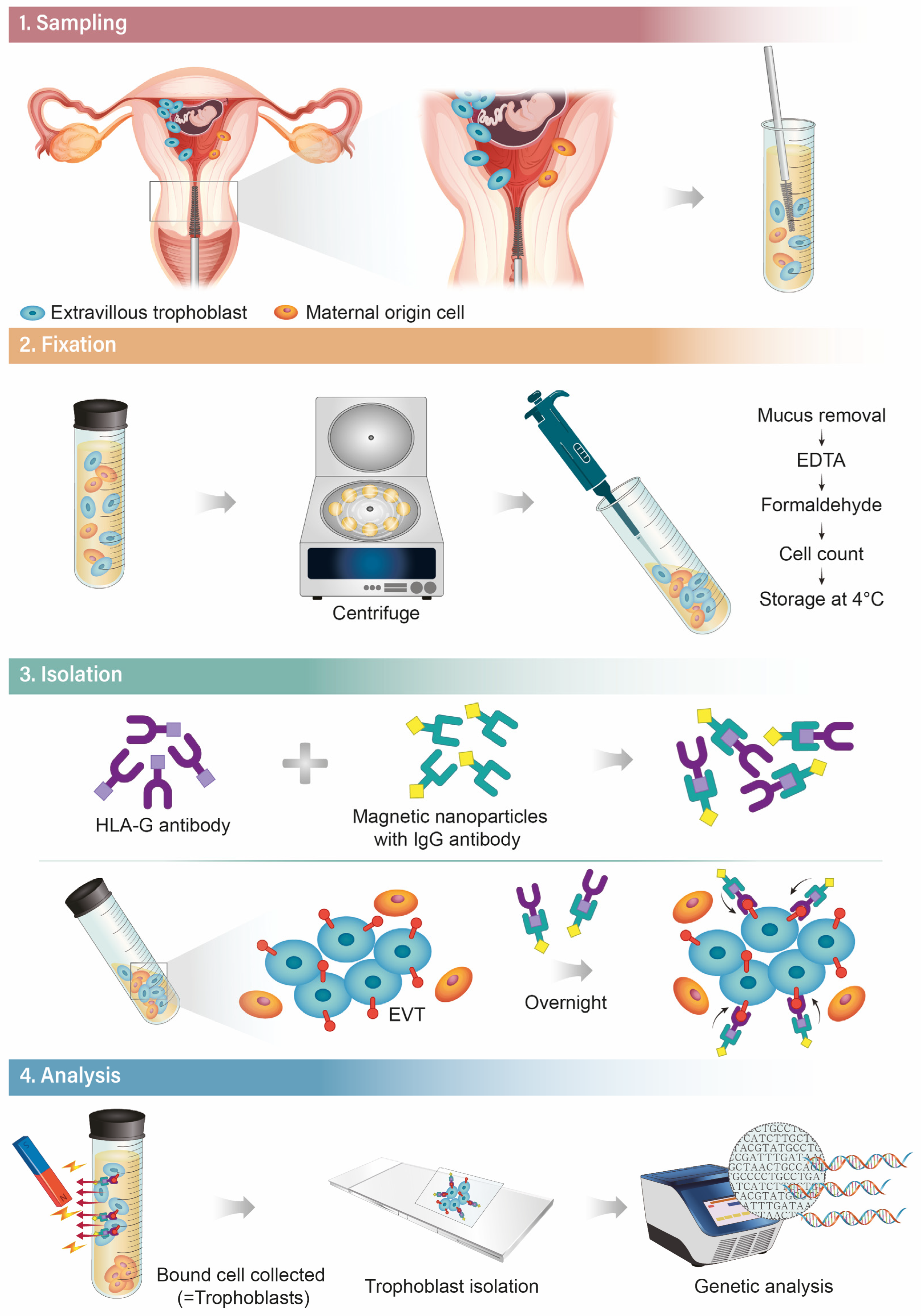 Diagnostics 13 02532 g004