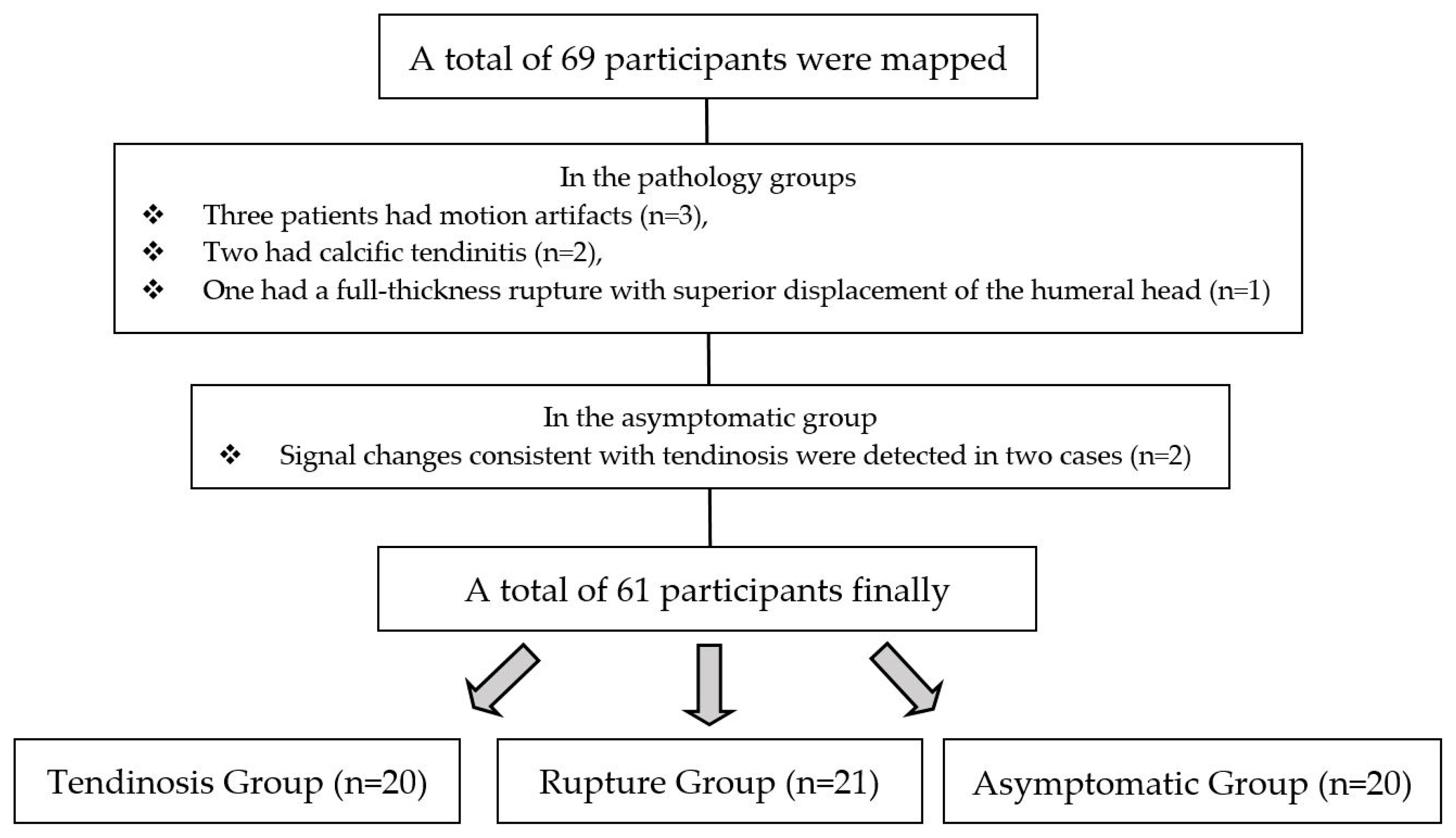 Diagnostics 13 02534 g001