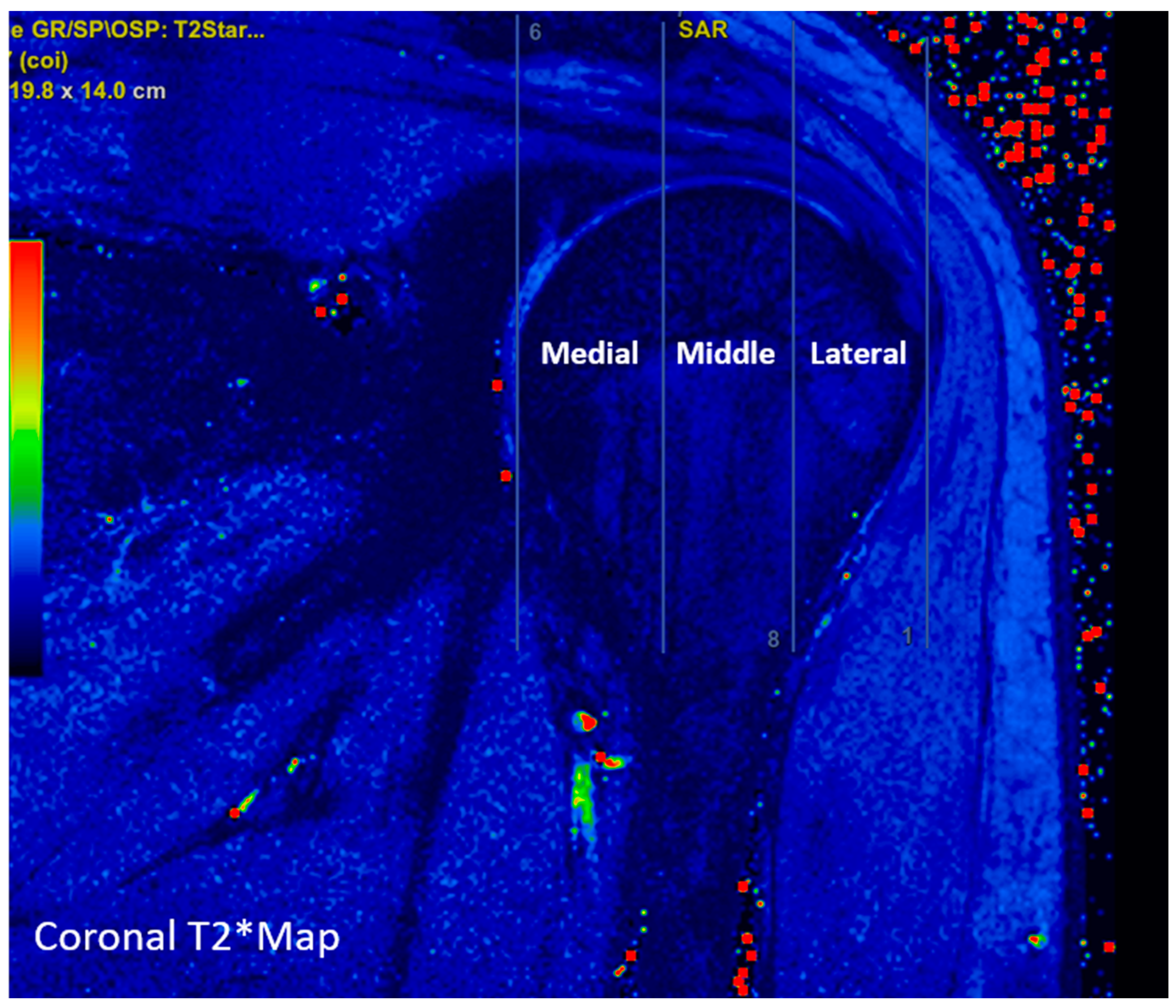 Diagnostics 13 02534 g002