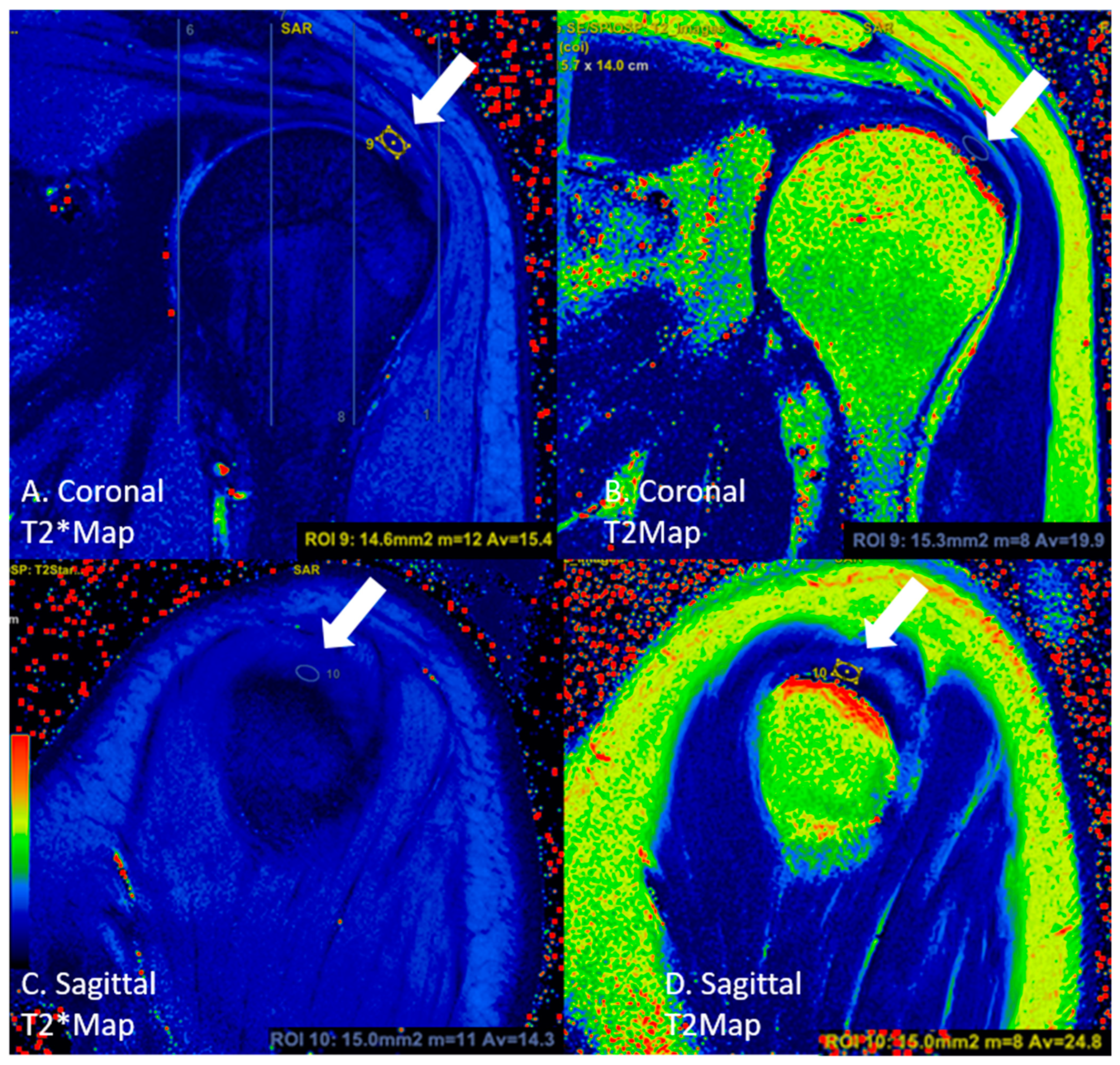 Diagnostics 13 02534 g003