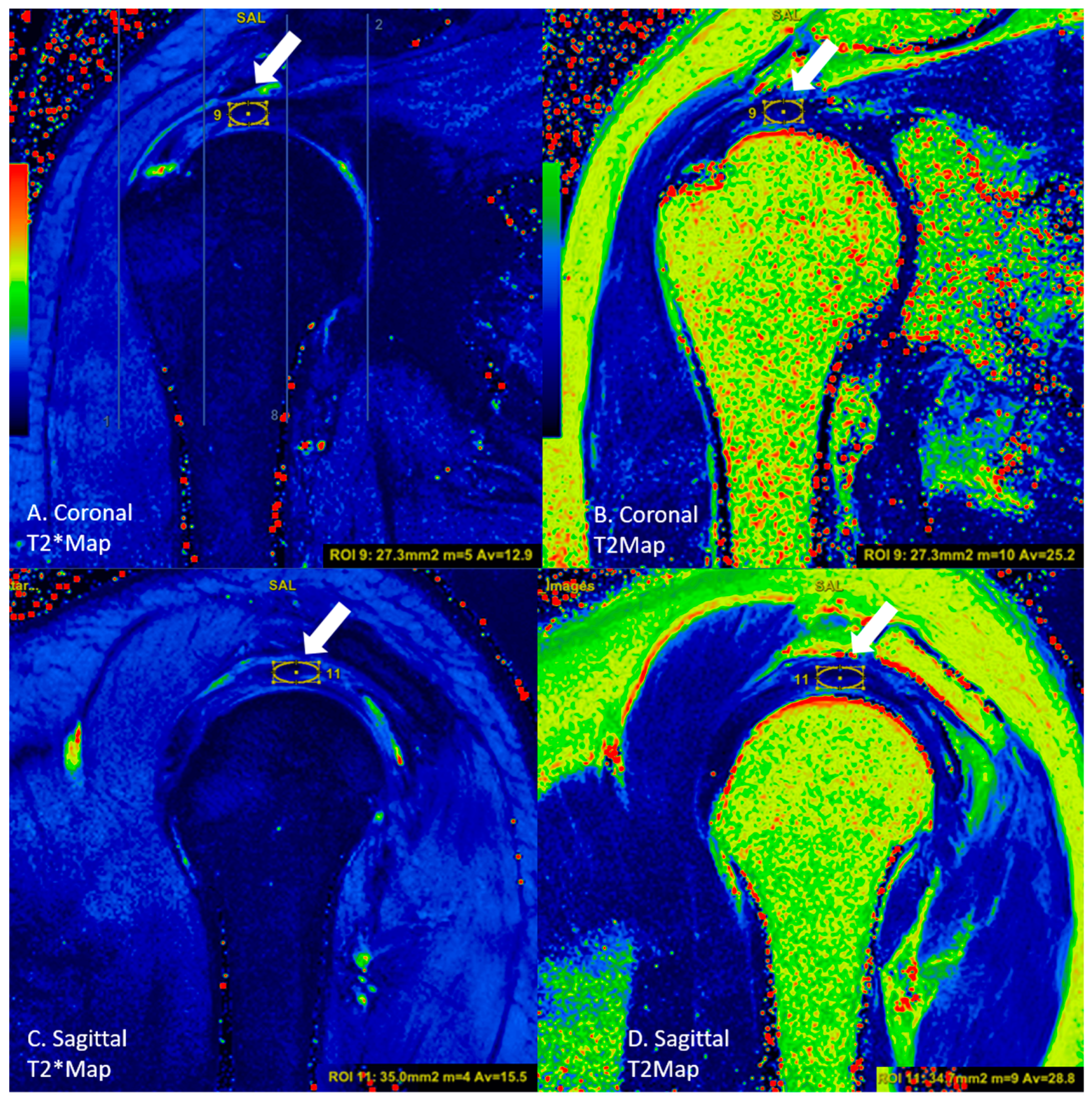 Diagnostics 13 02534 g004