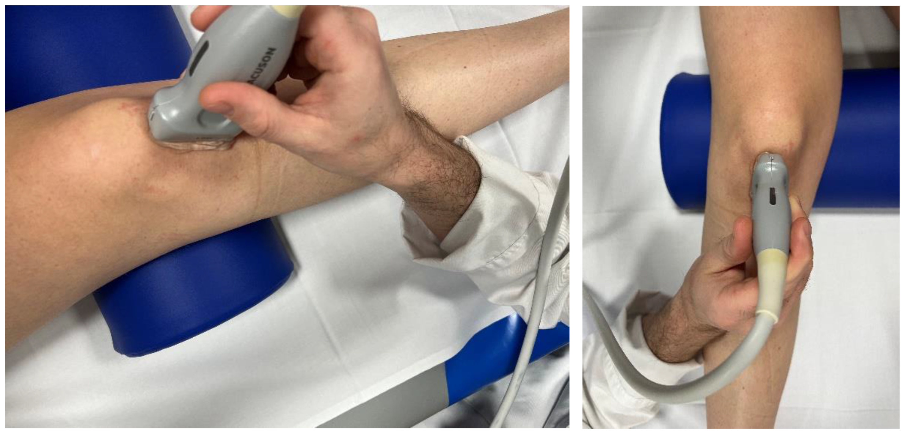 Diagnostics 13 02541 g001