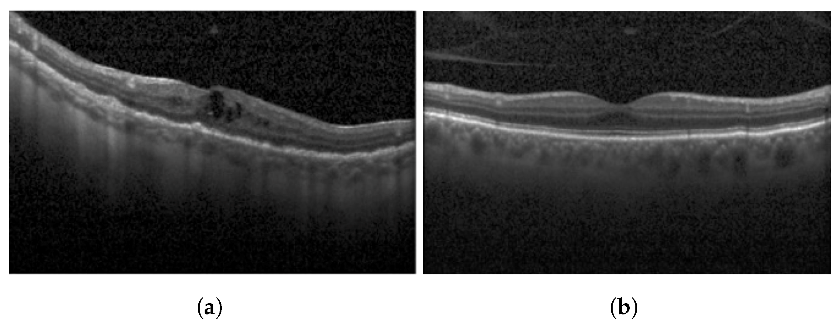 Diagnostics 13 02550 g001