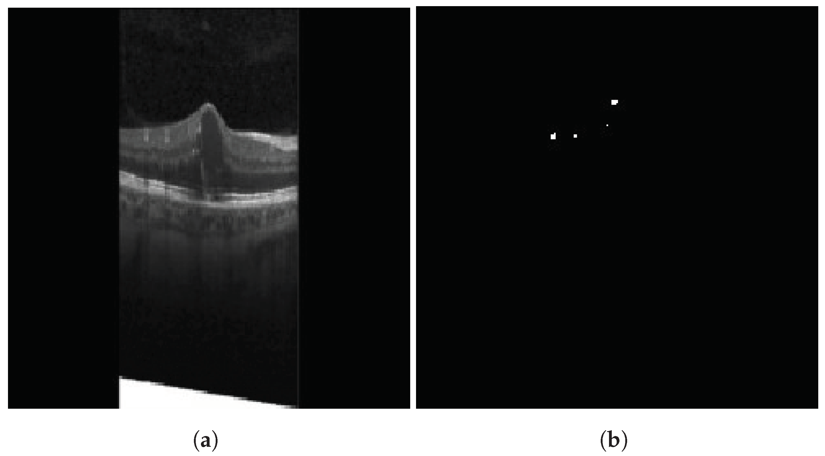 Diagnostics 13 02550 g006