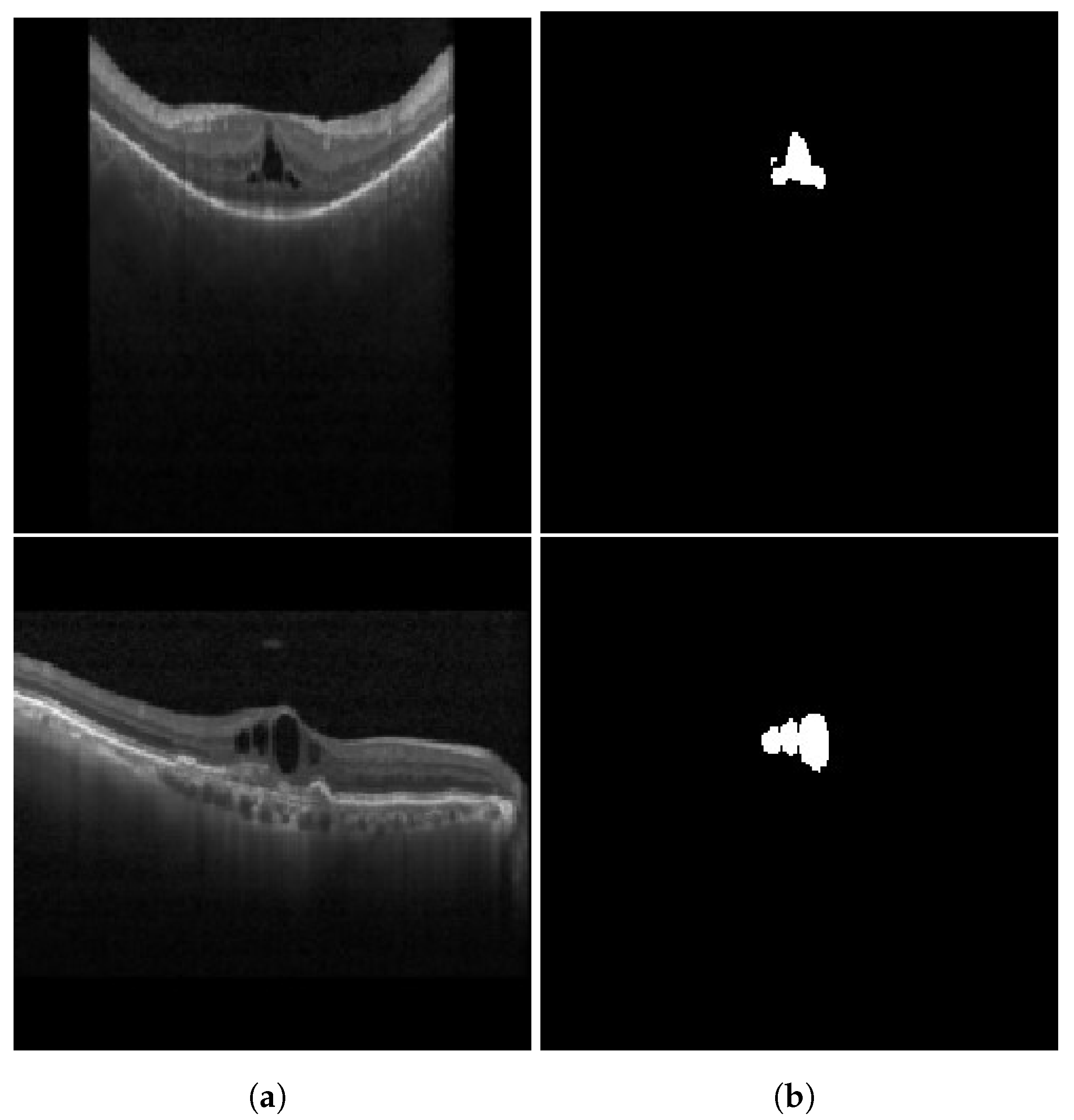 Diagnostics 13 02550 g007