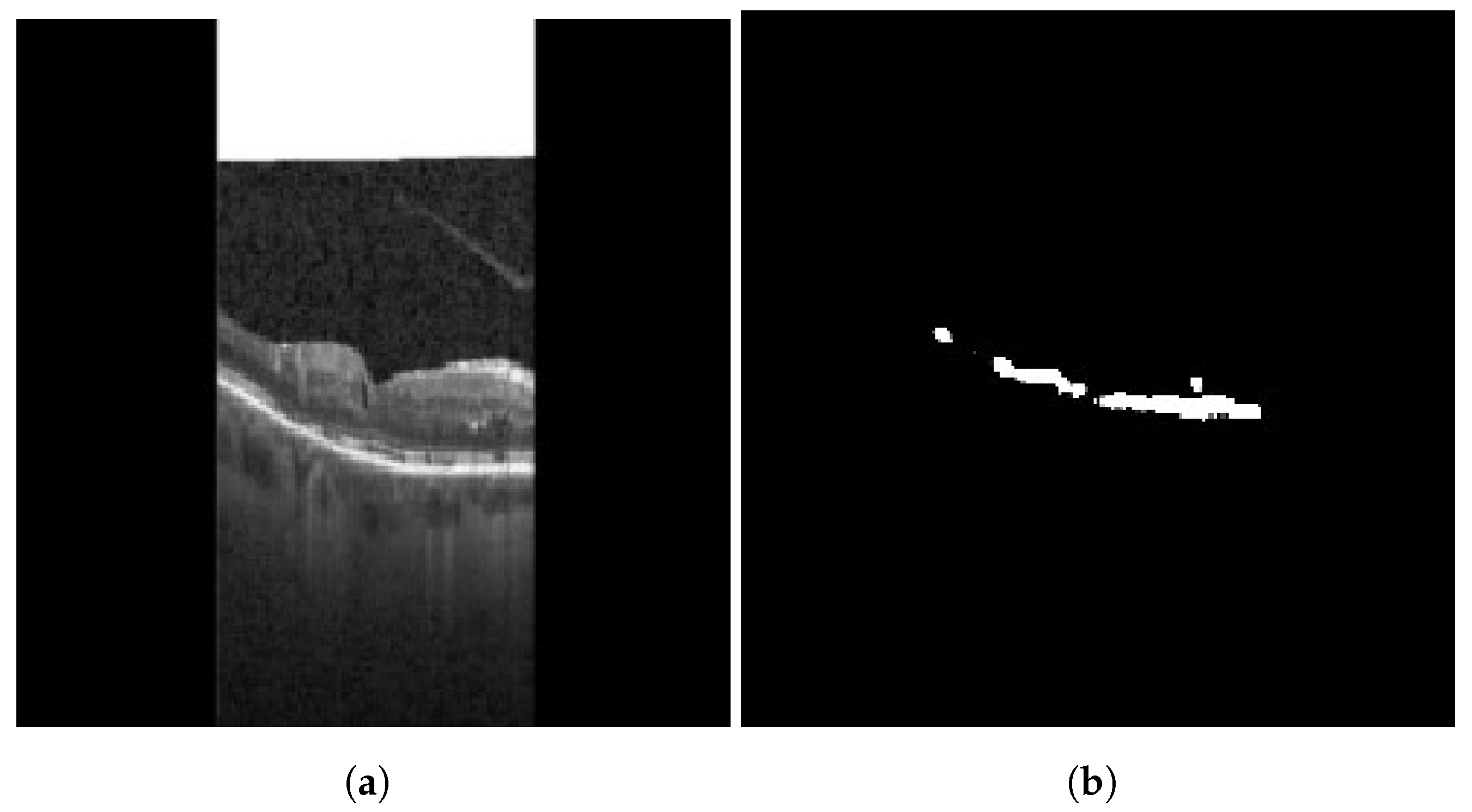 Diagnostics 13 02550 g009