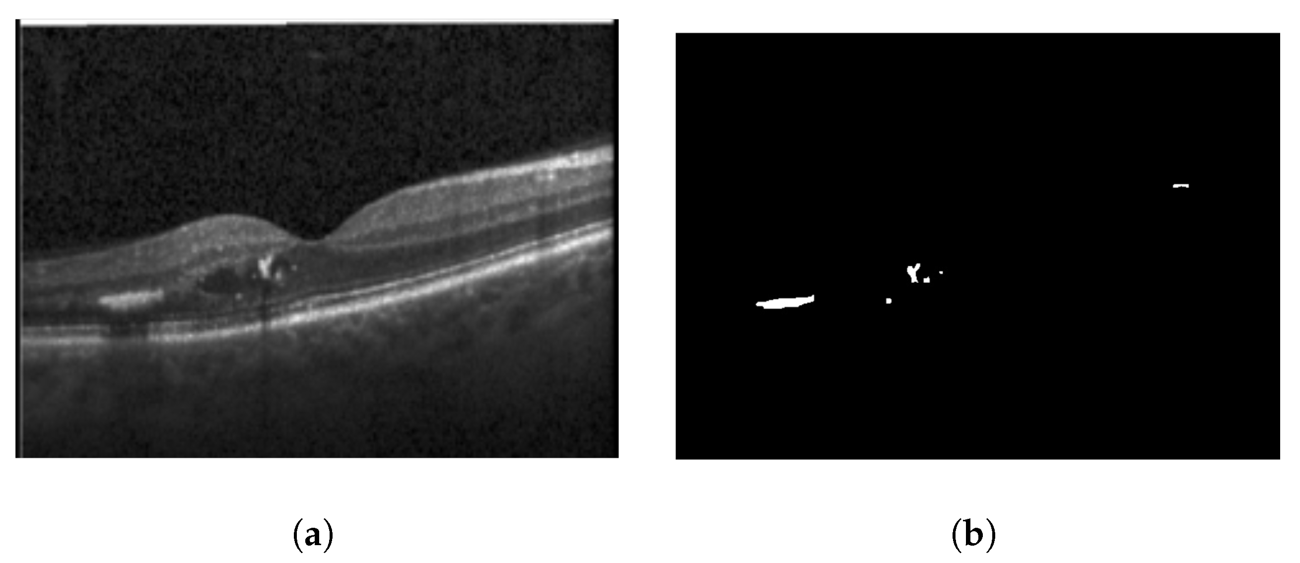 Diagnostics 13 02550 g010