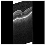 Diagnostics 13 02550 i019