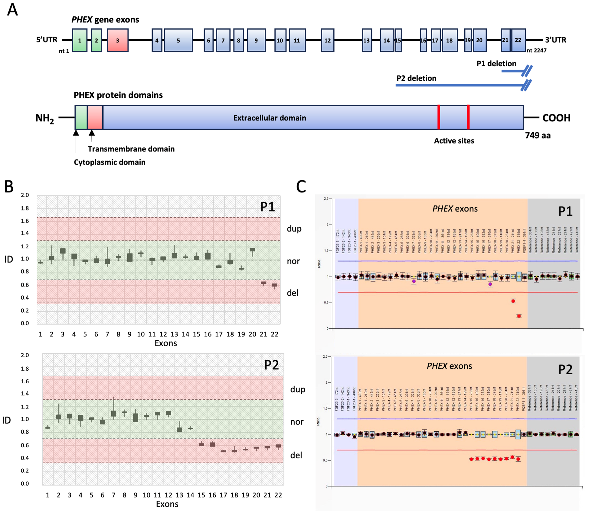 Diagnostics 13 02552 g002