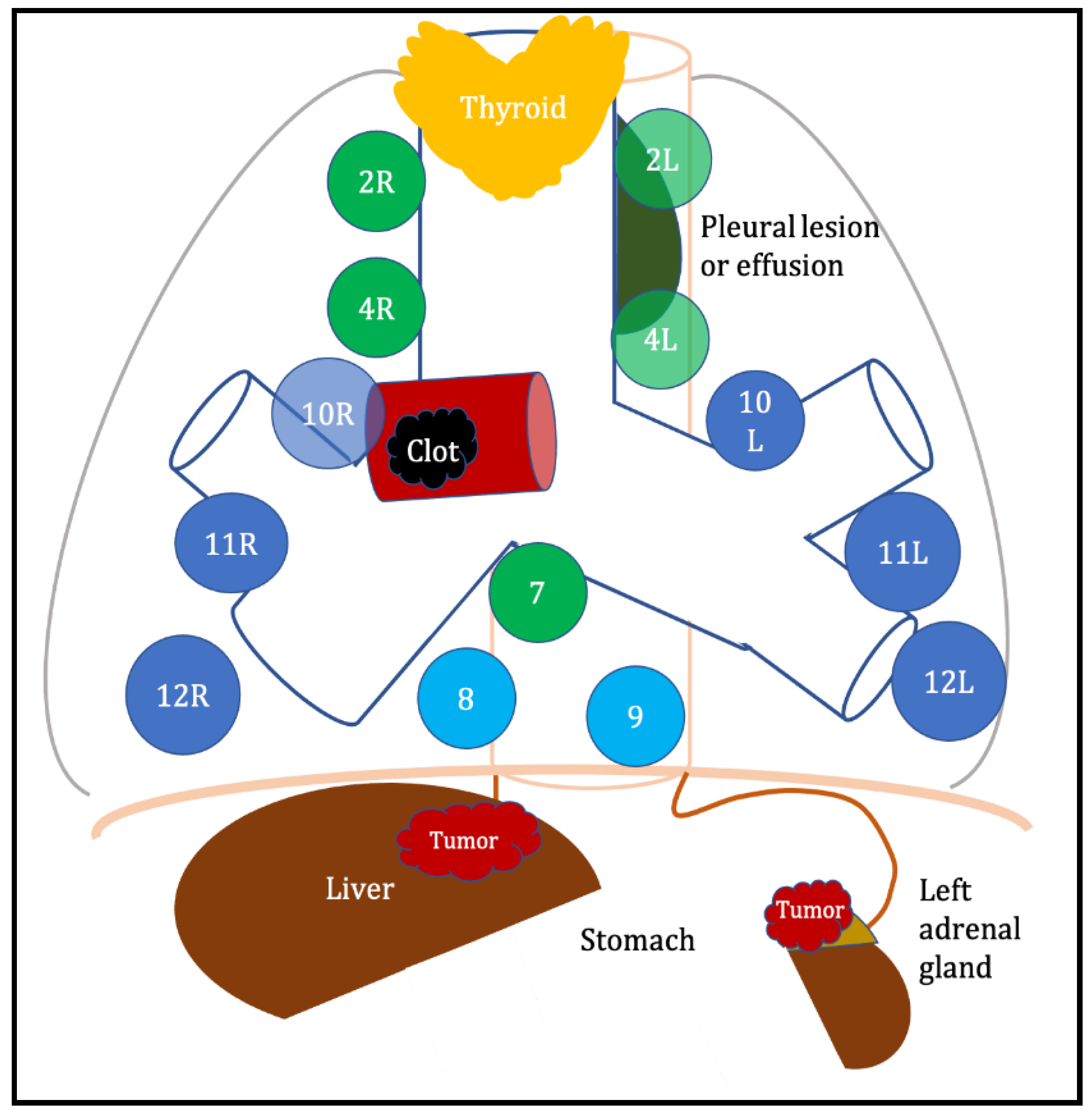 Diagnostics 13 02565 g002