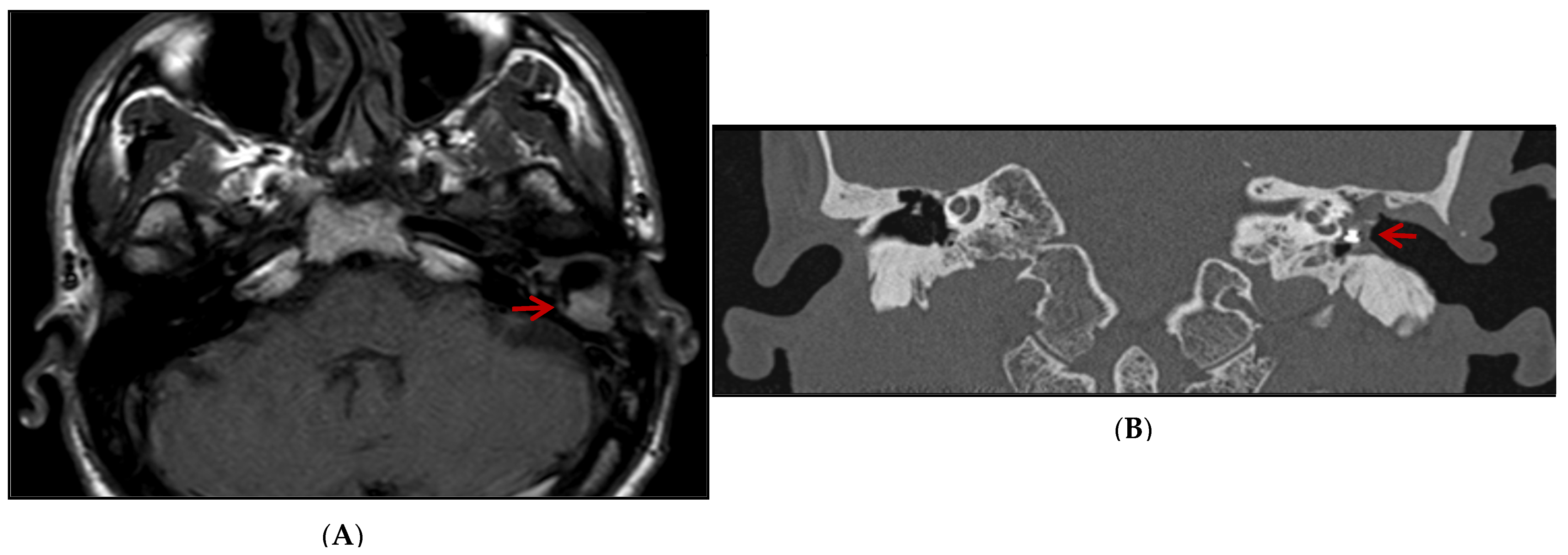 Diagnostics 13 02575 g001