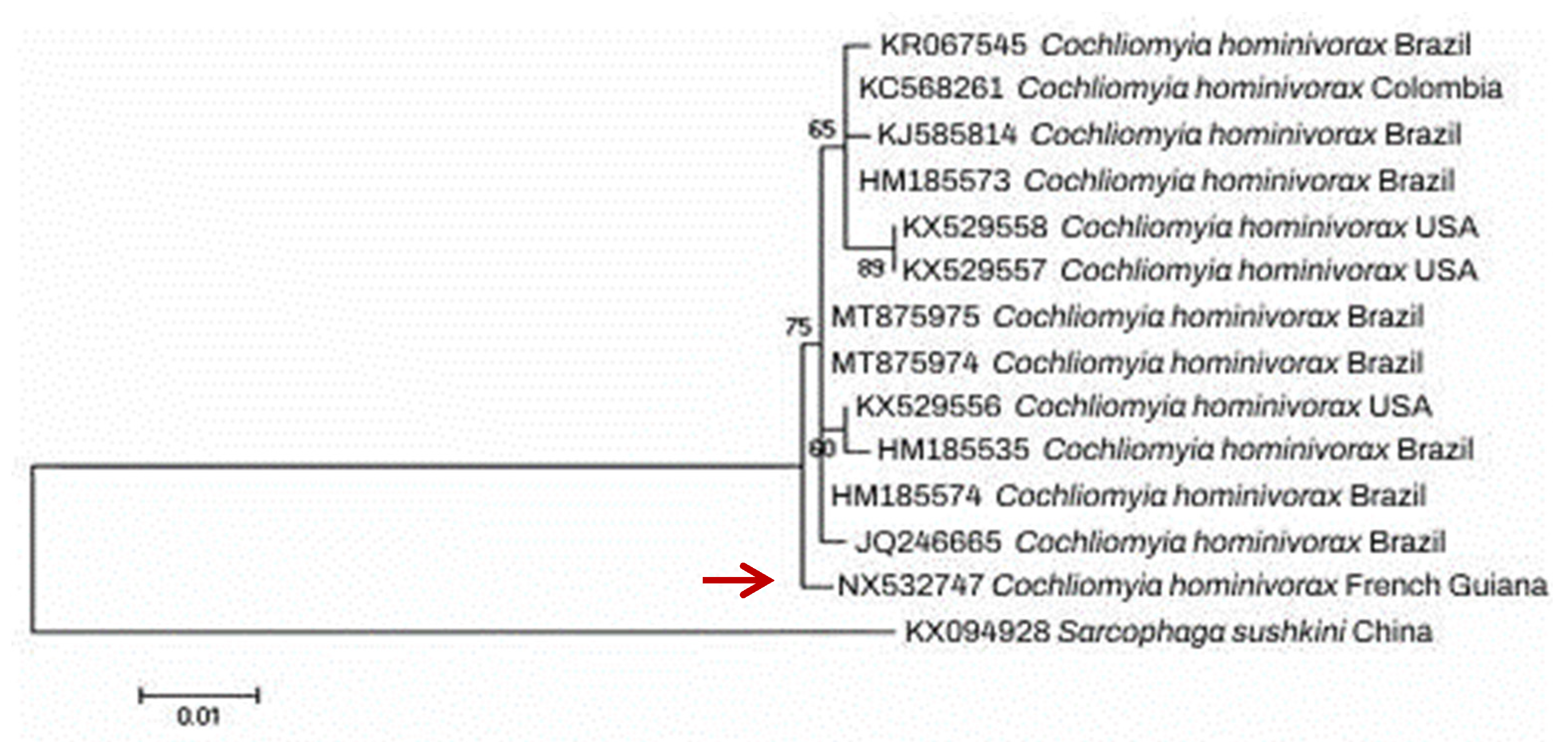 Diagnostics 13 02575 g003