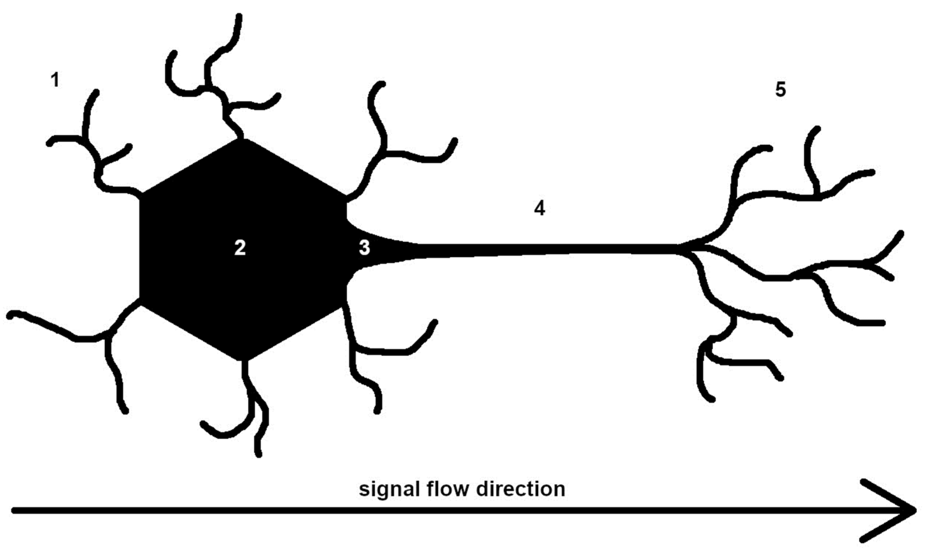 Diagnostics 13 02582 g007 Diagnostics 13 02582 g007