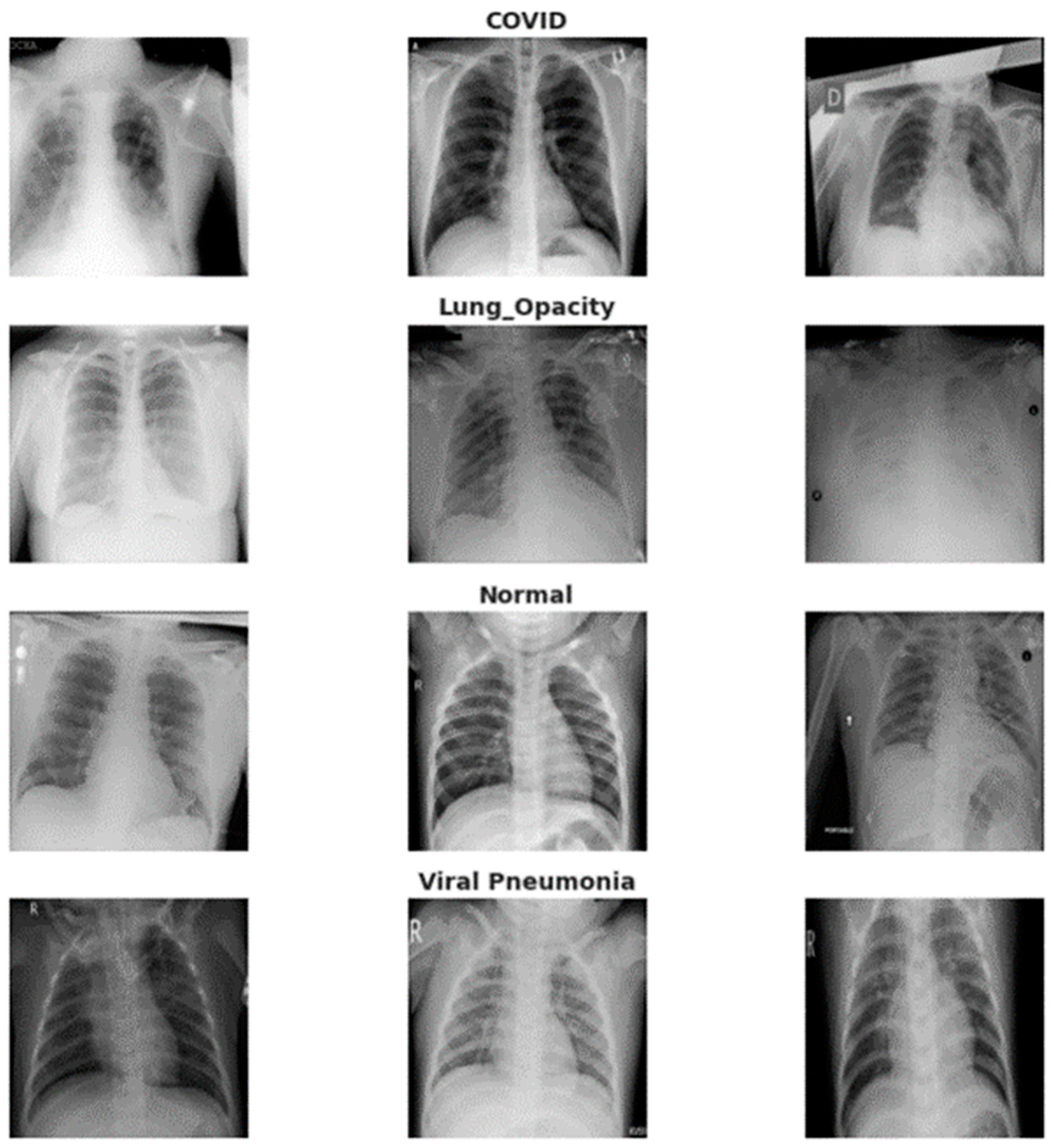 Diagnostics 13 02583 g003 Diagnostics 13 02583 g003