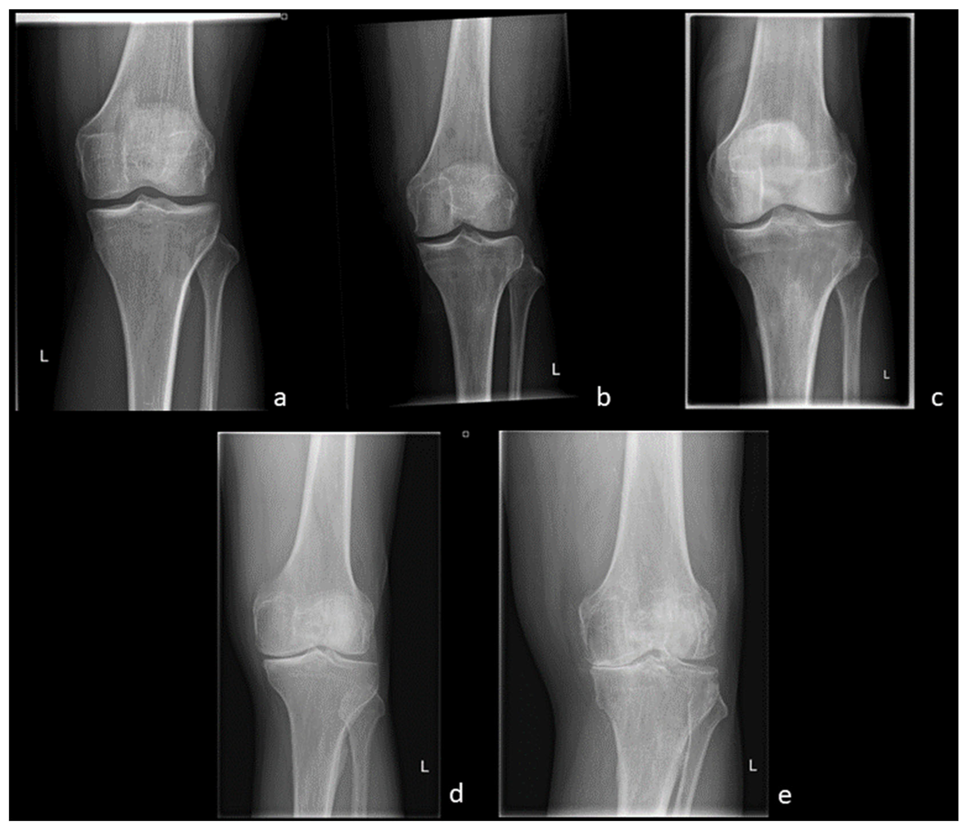 Diagnostics 13 02586 g001