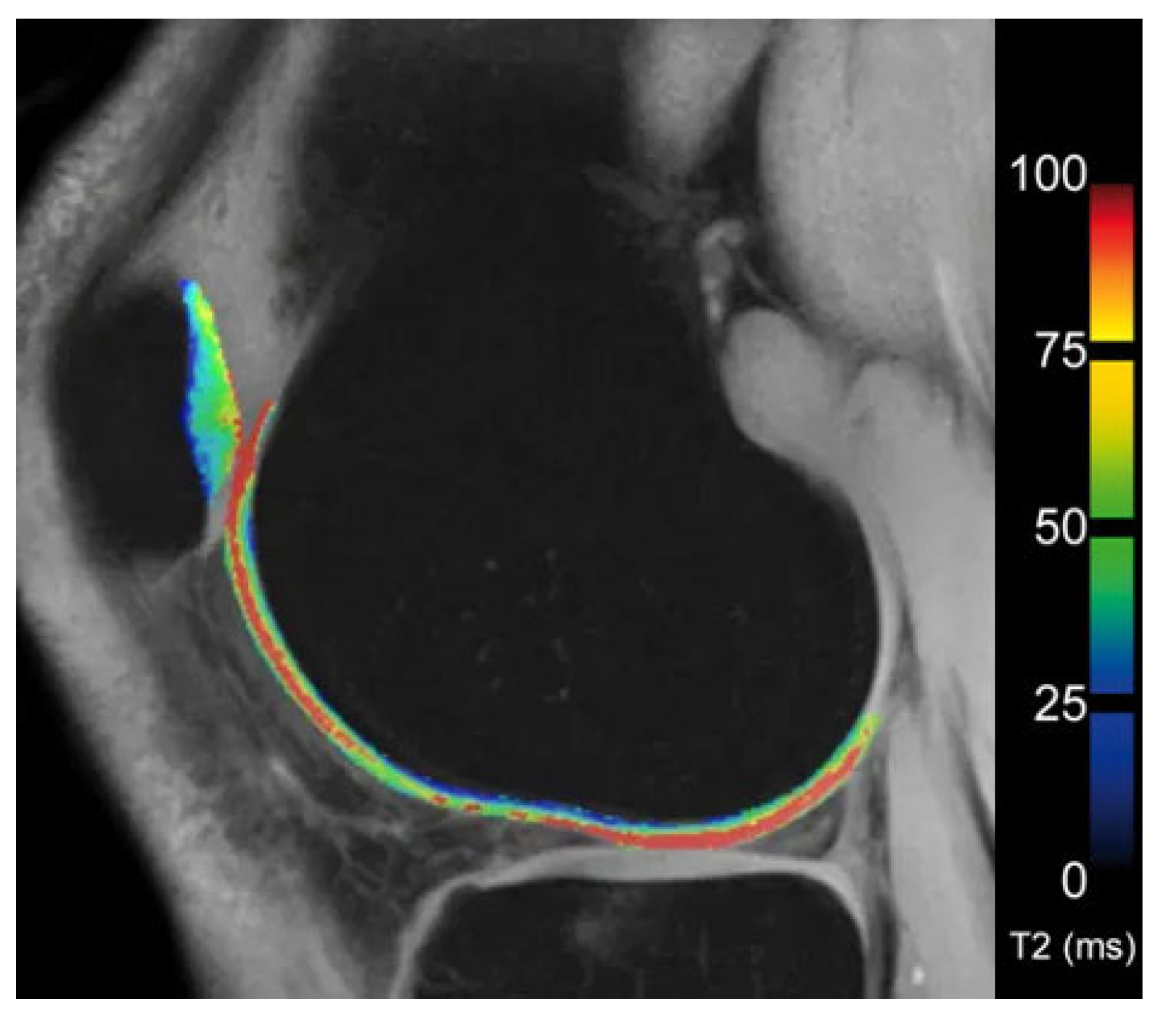 Diagnostics 13 02586 g005