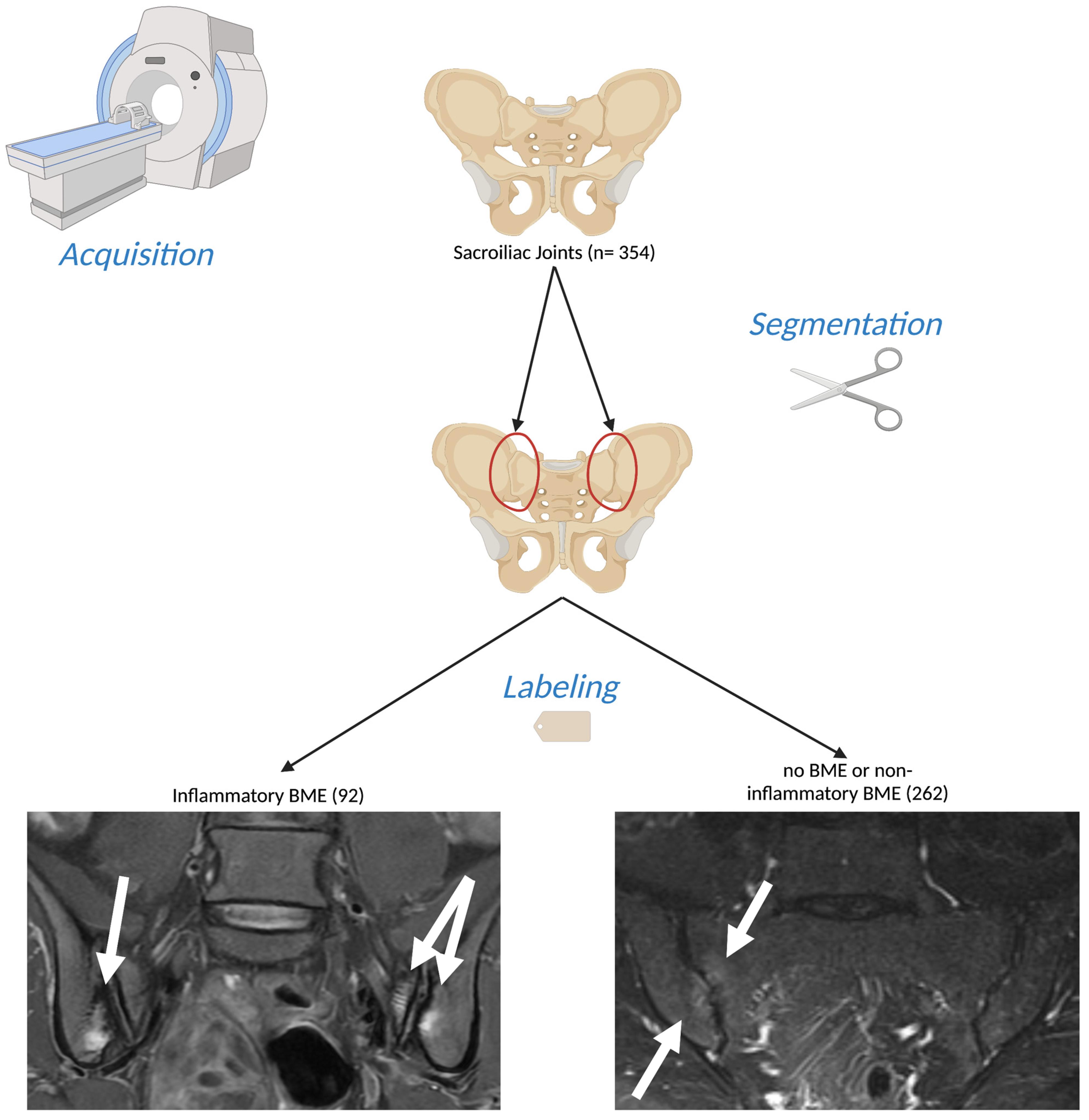 Diagnostics 13 02587 g001