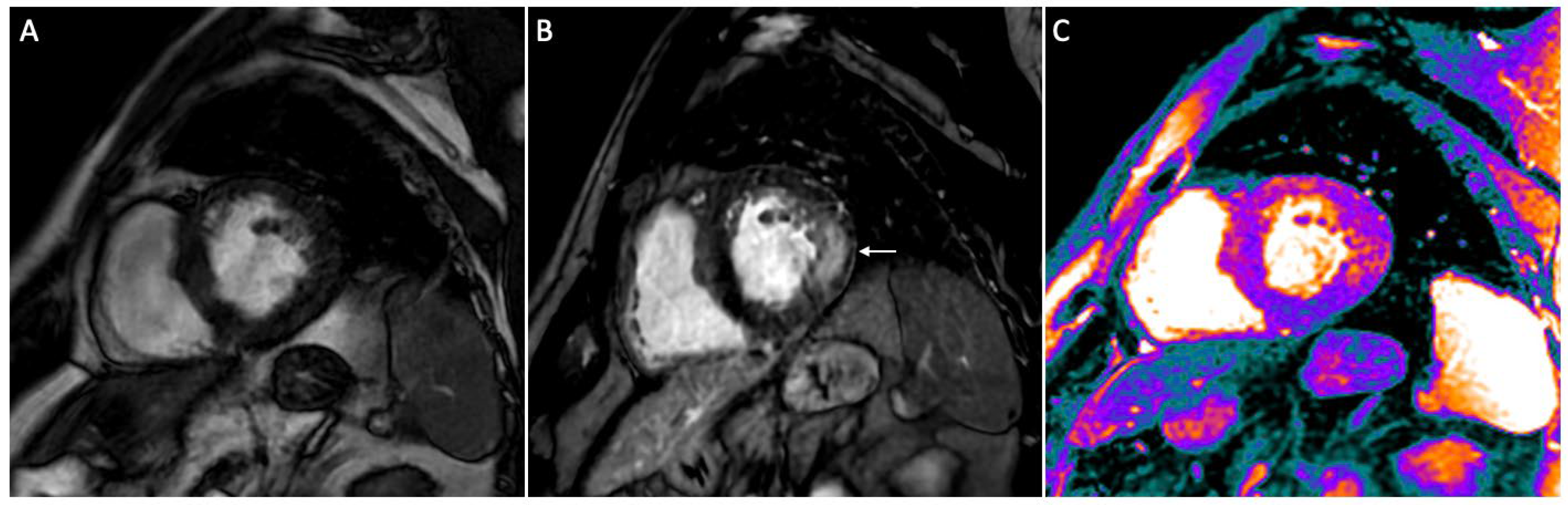 Diagnostics 13 02598 g001