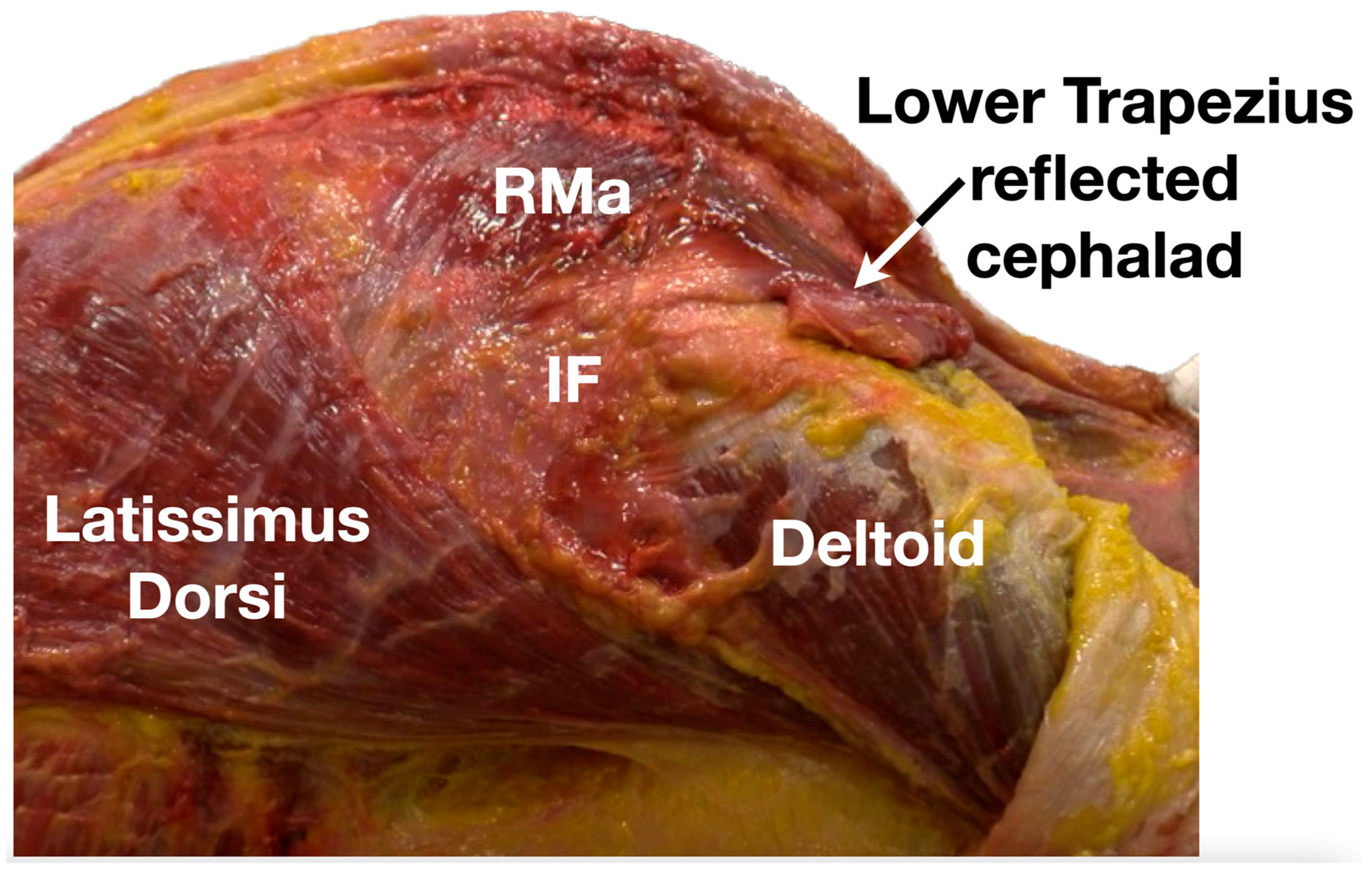 Diagnostics 13 02601 g006
