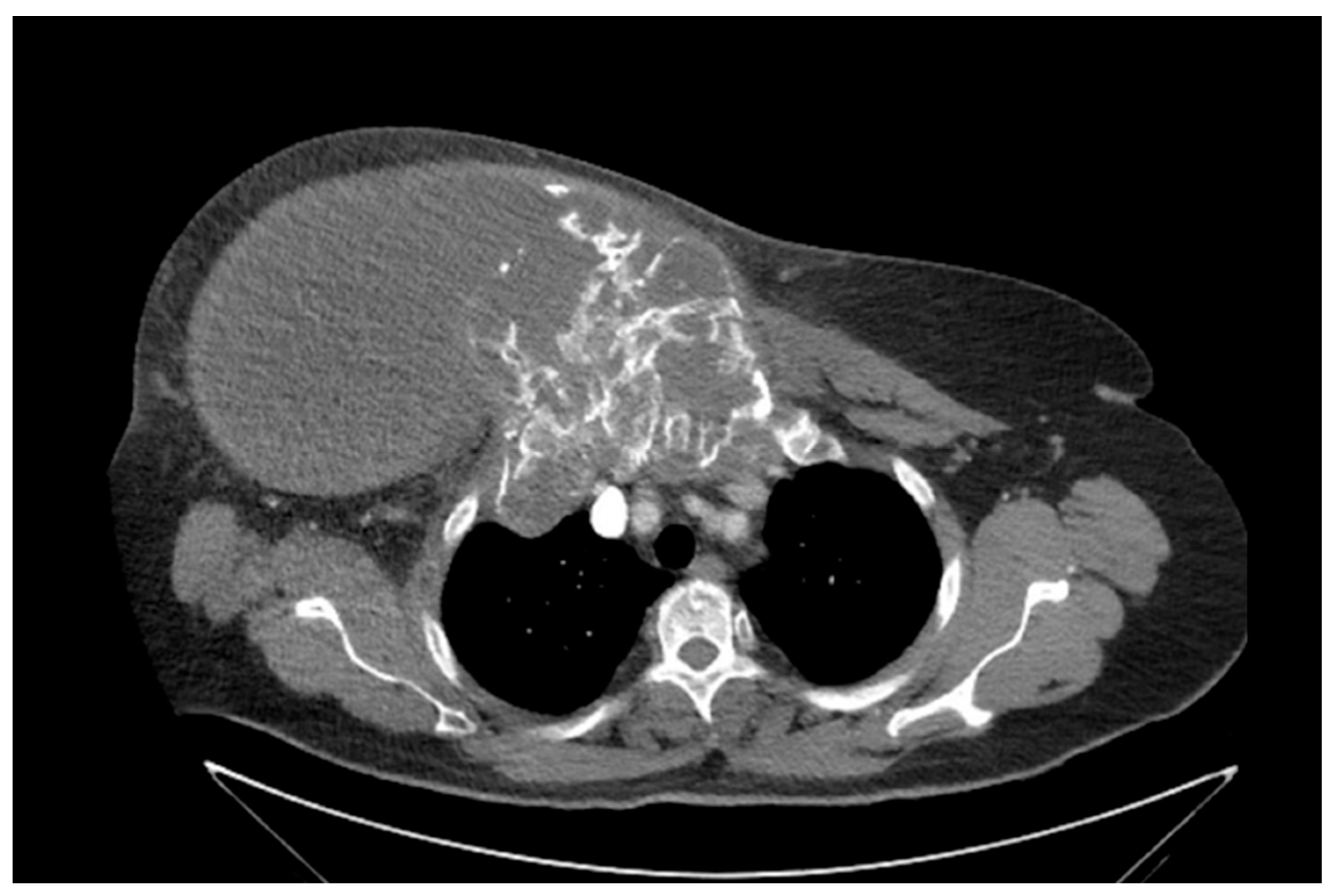Diagnostics 13 02603 g002