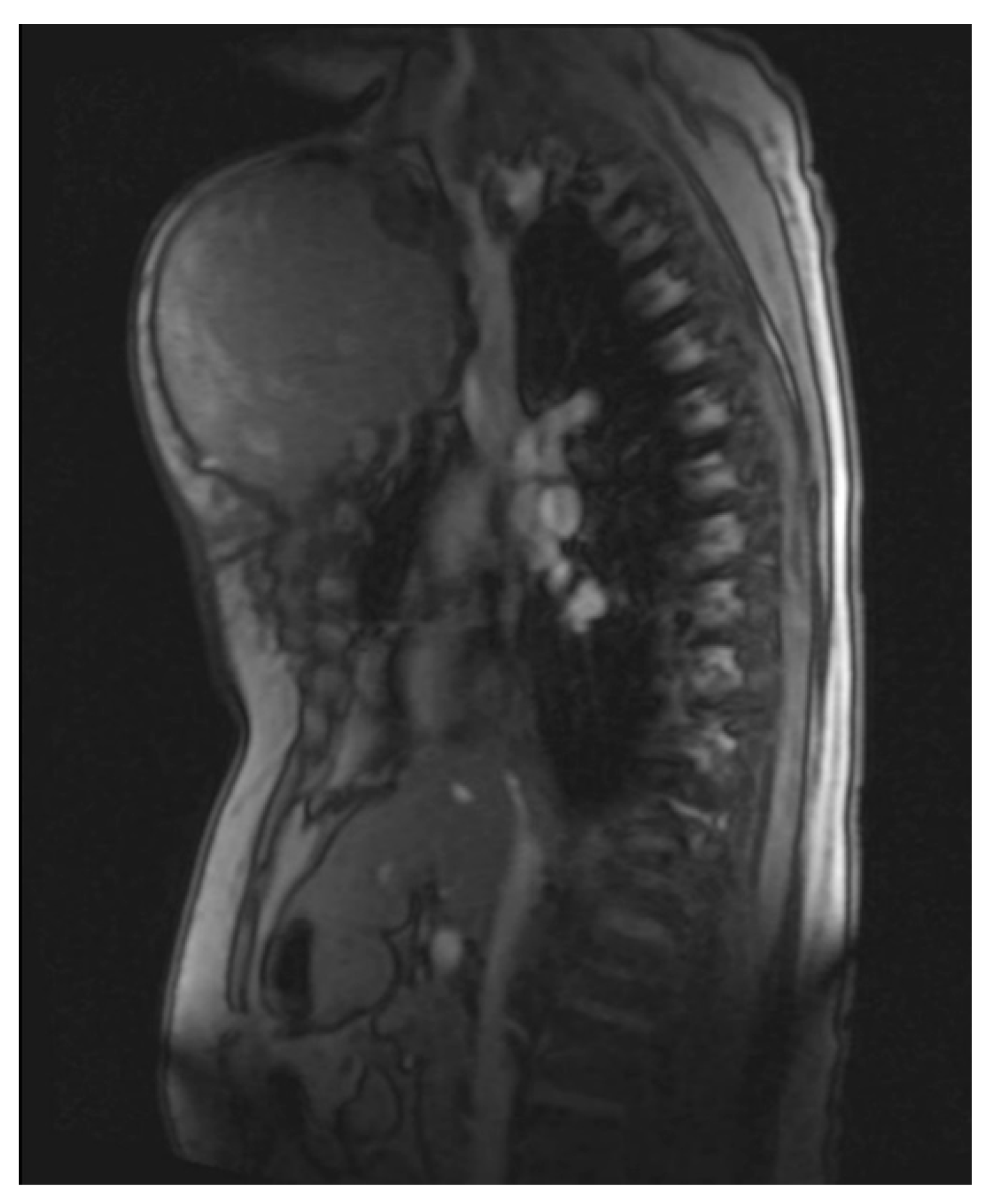 Diagnostics 13 02603 g004