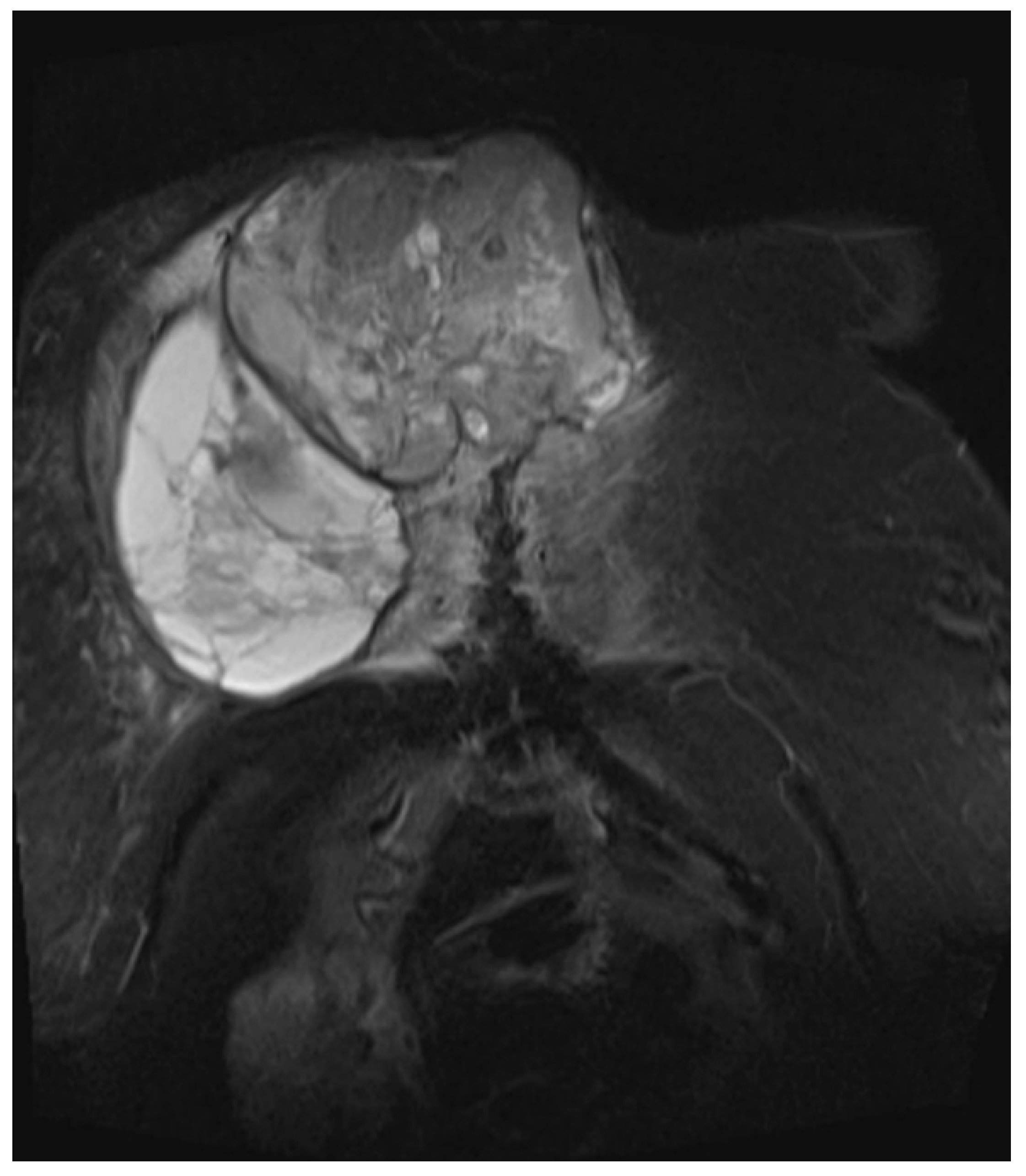 Diagnostics 13 02603 g005