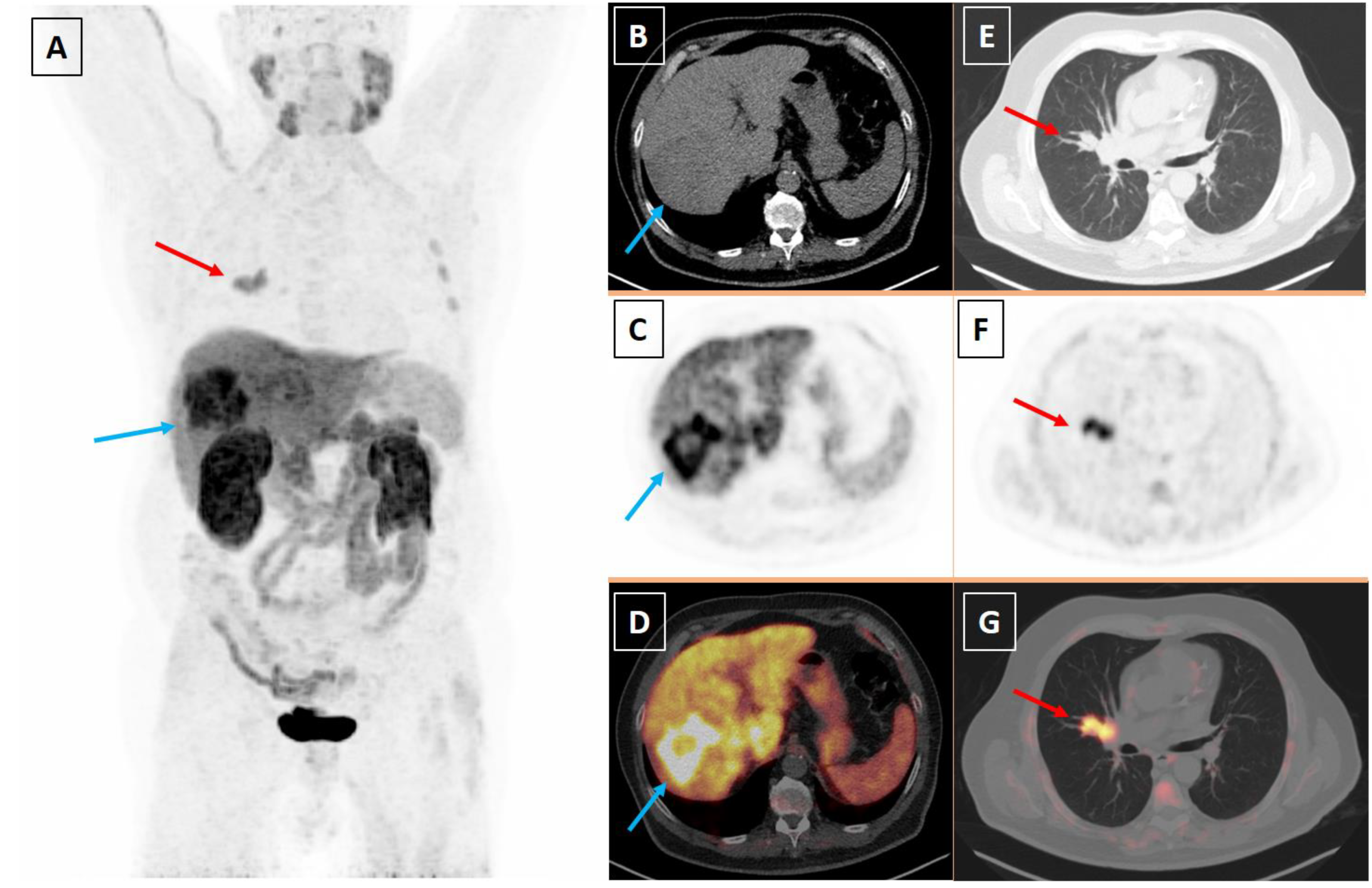 Diagnostics 13 02639 g001
