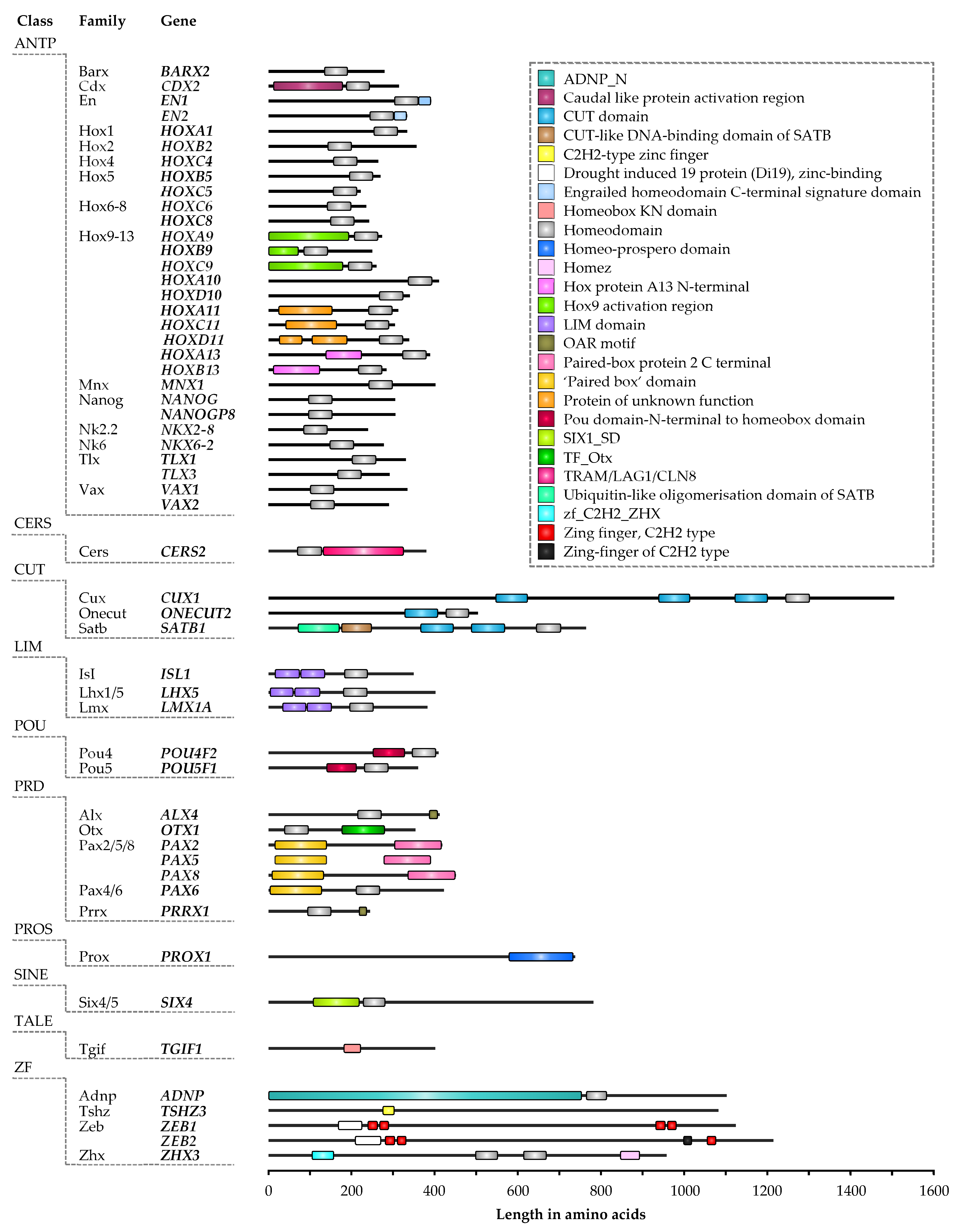 Diagnostics 13 02641 g001