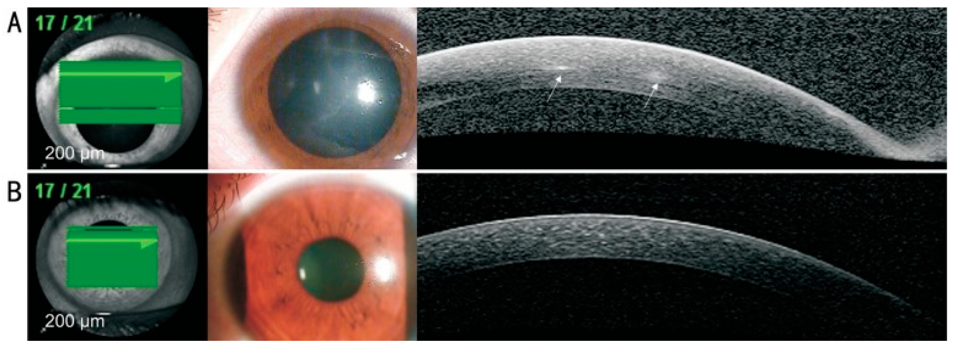 Diagnostics 13 02655 g003