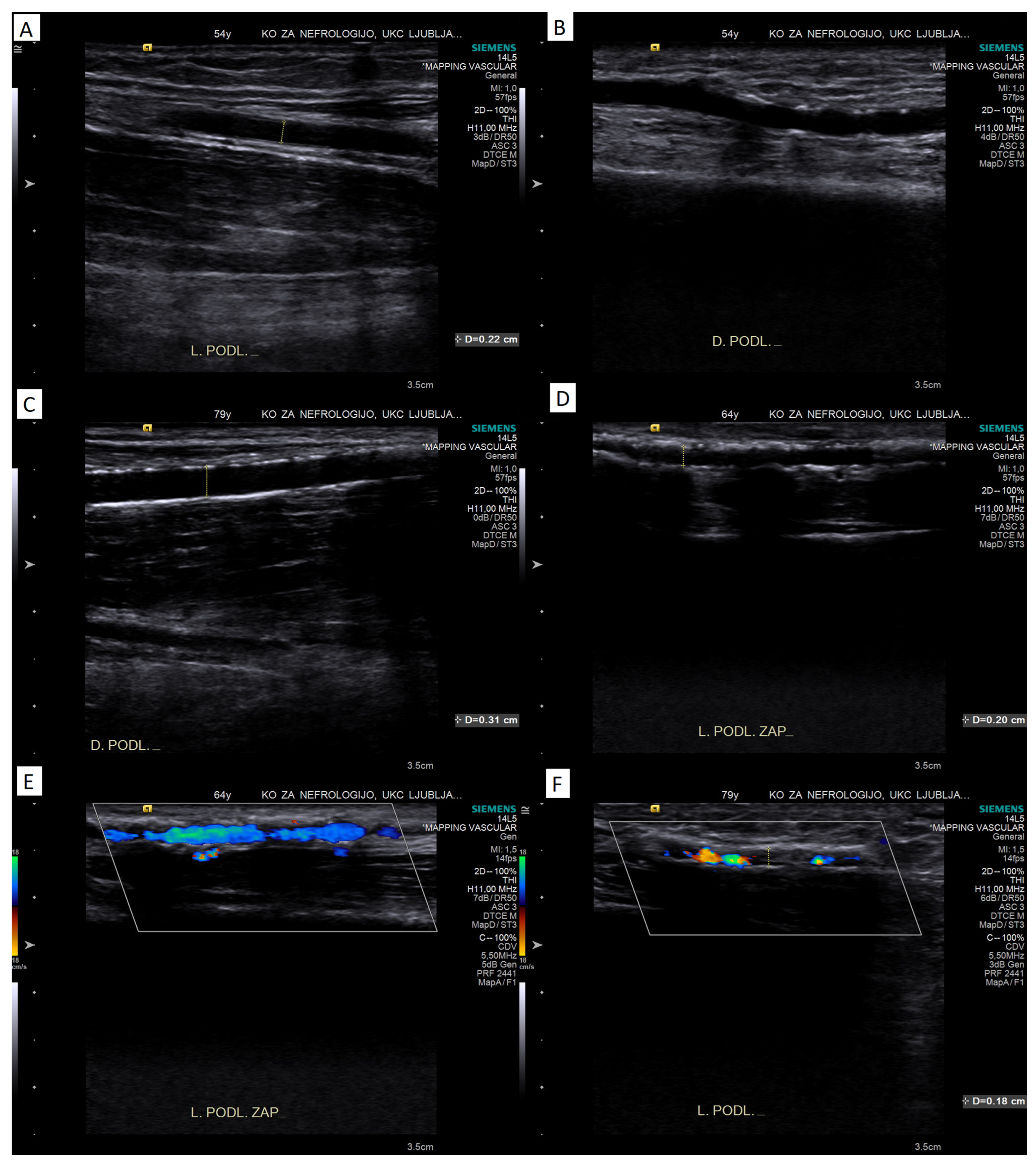 Diagnostics 13 02660 g002