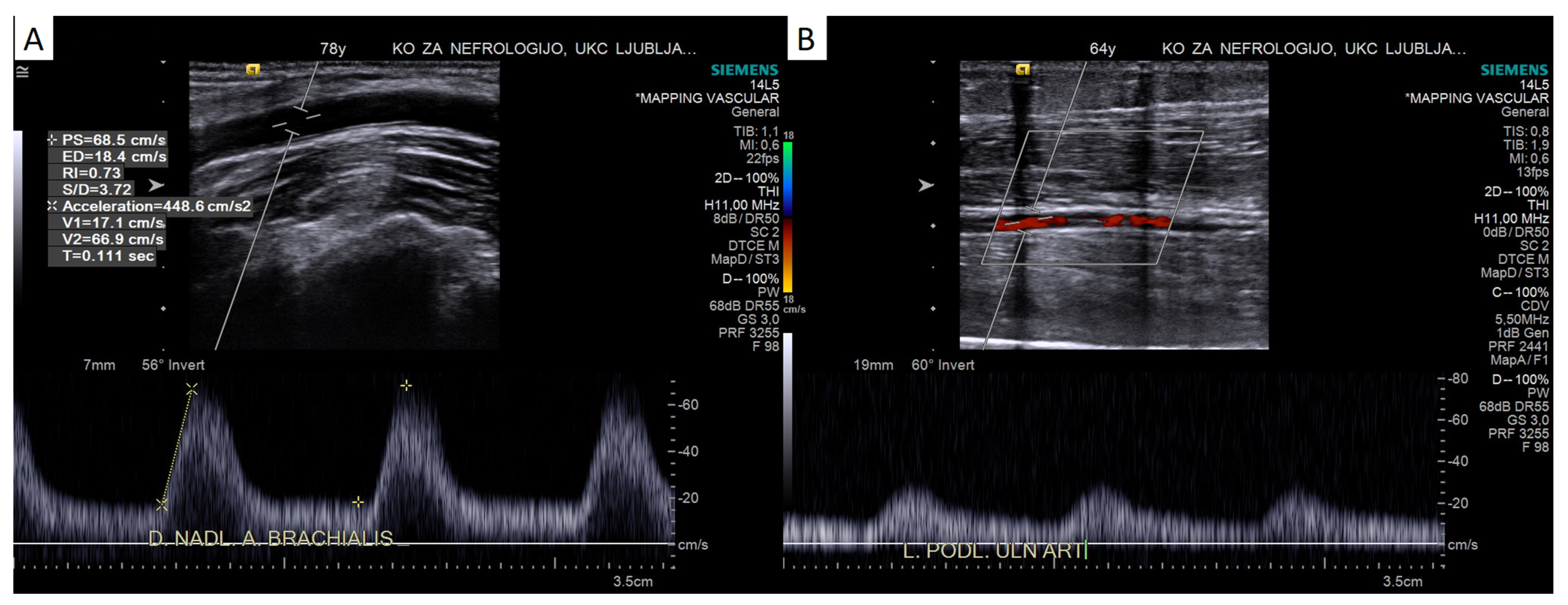 Diagnostics 13 02660 g003