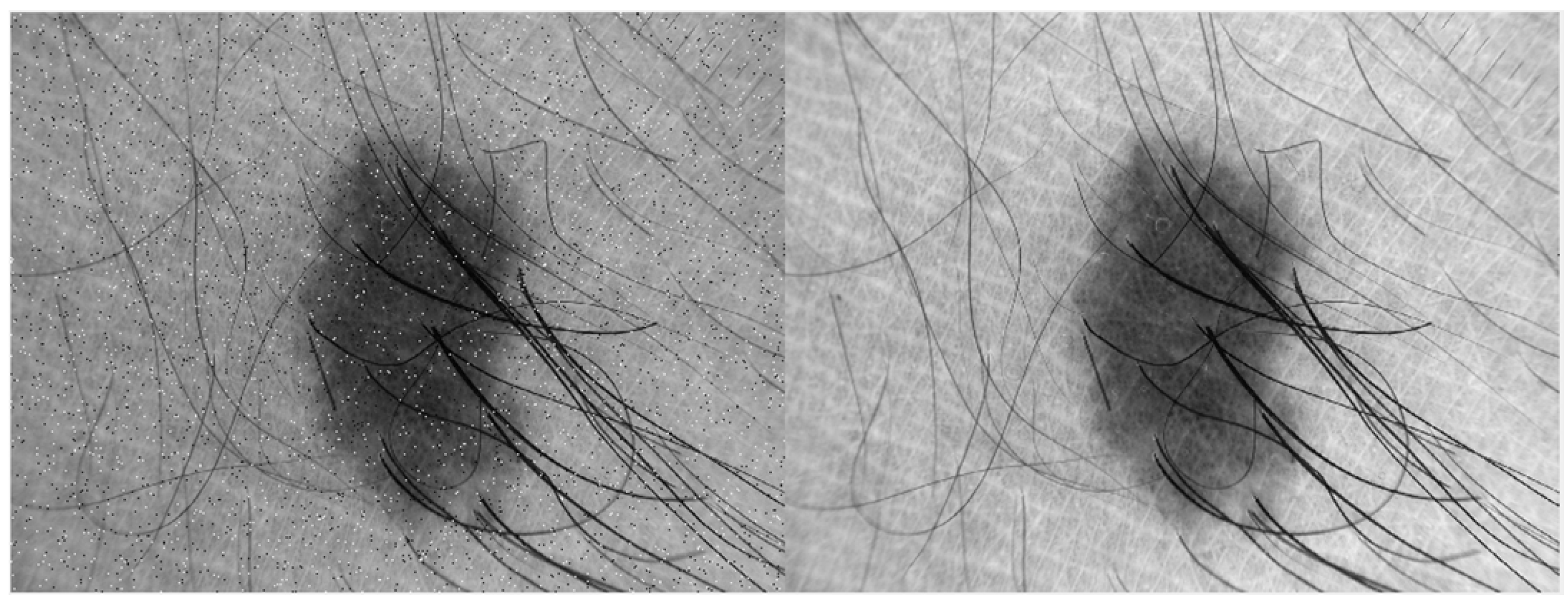 Diagnostics 13 02684 g001