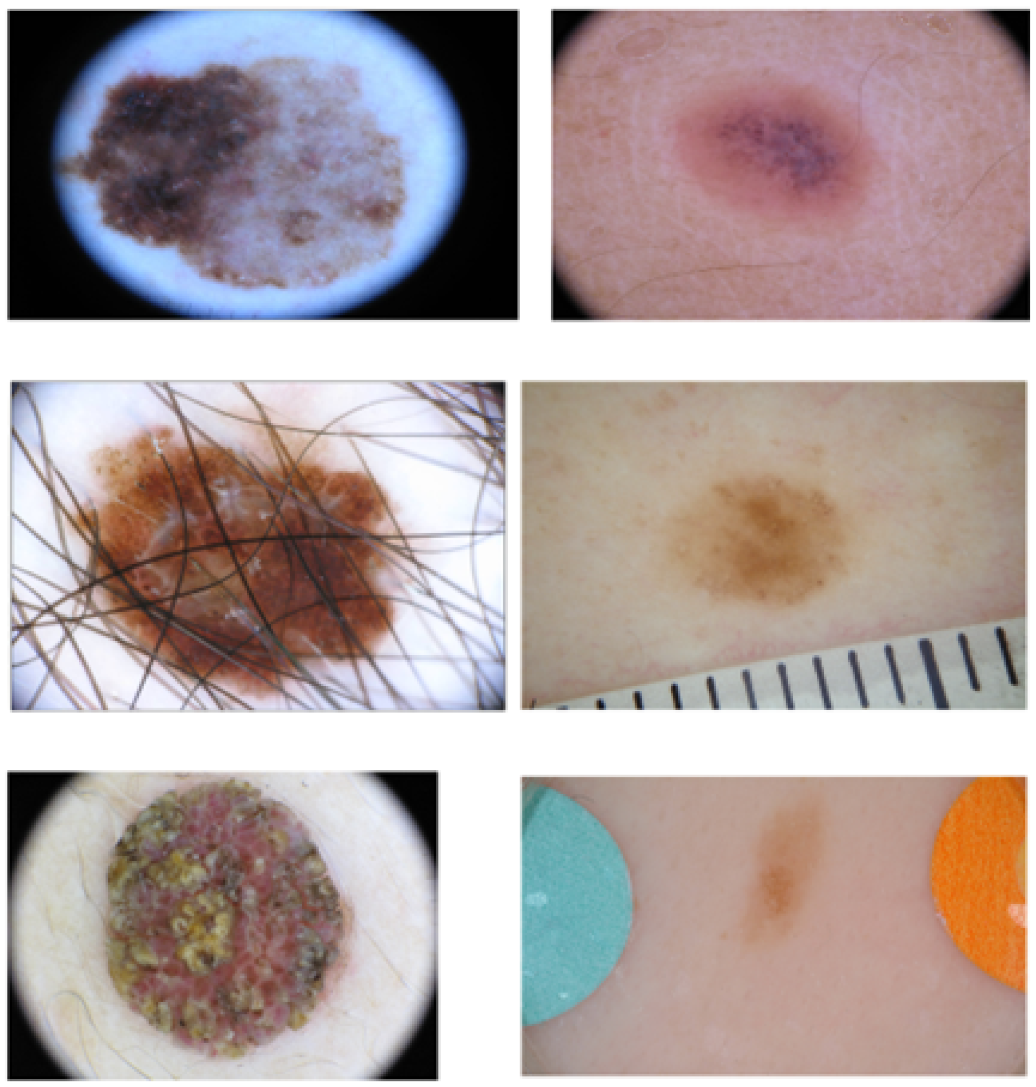 Diagnostics 13 02684 g002