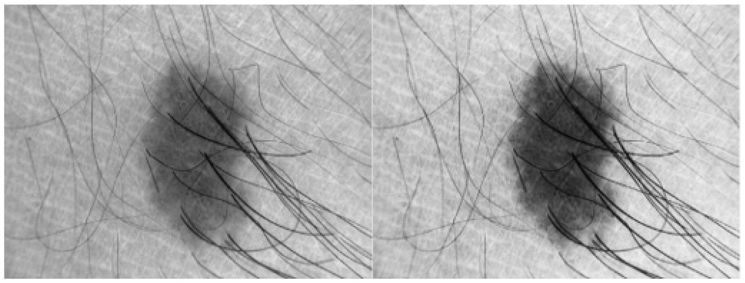 Diagnostics 13 02684 g003