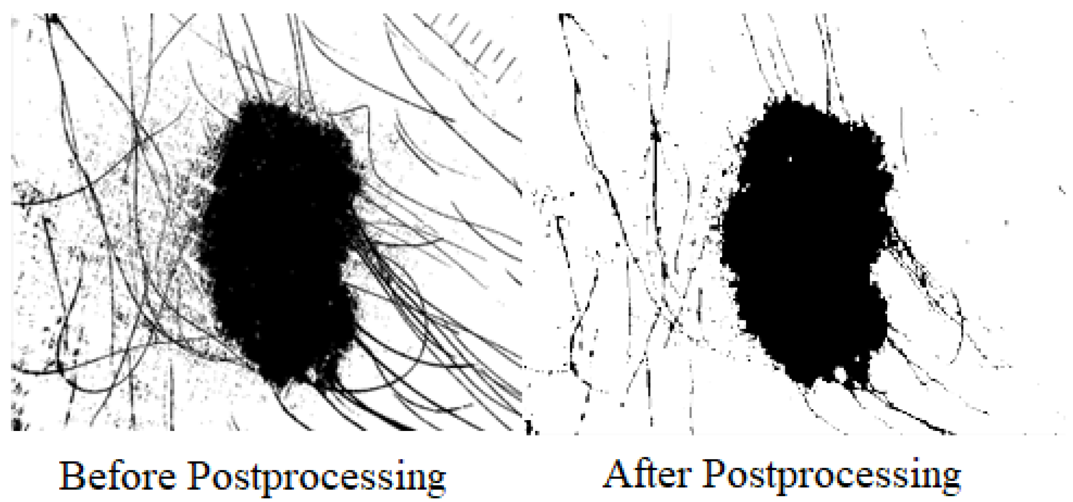 Diagnostics 13 02684 g005