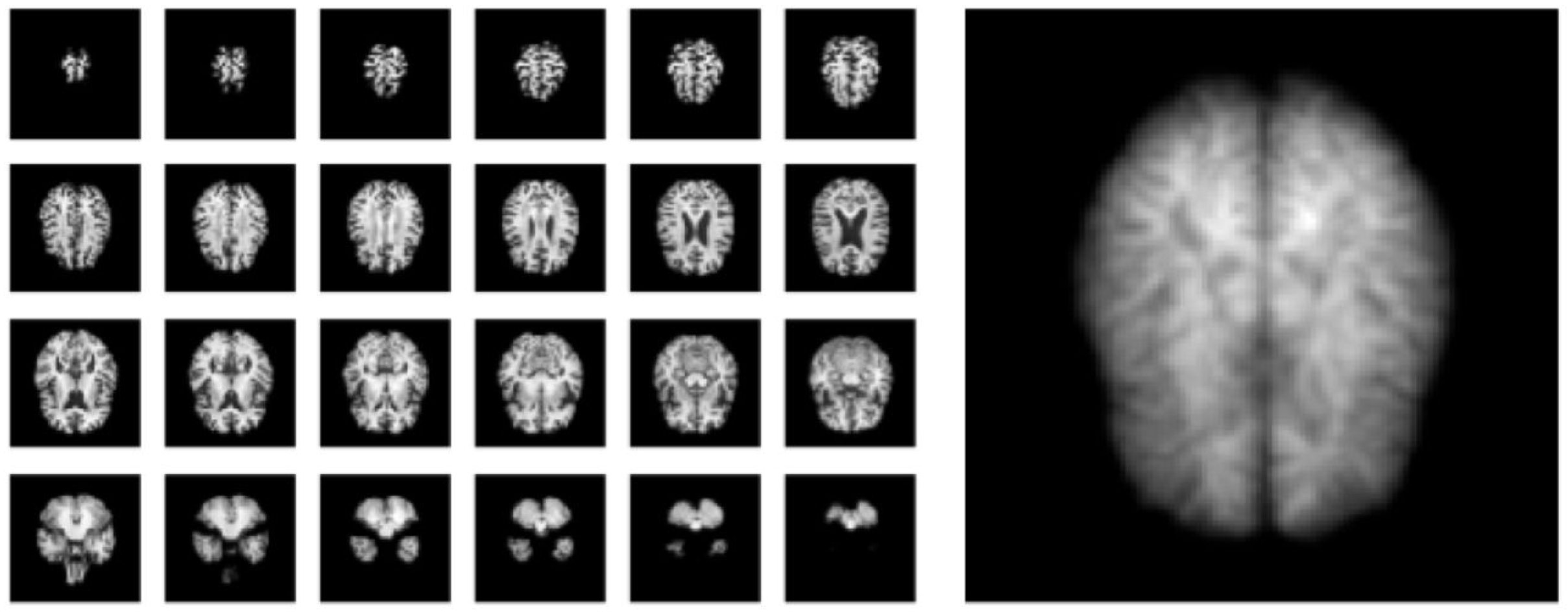 Diagnostics 13 02687 g001