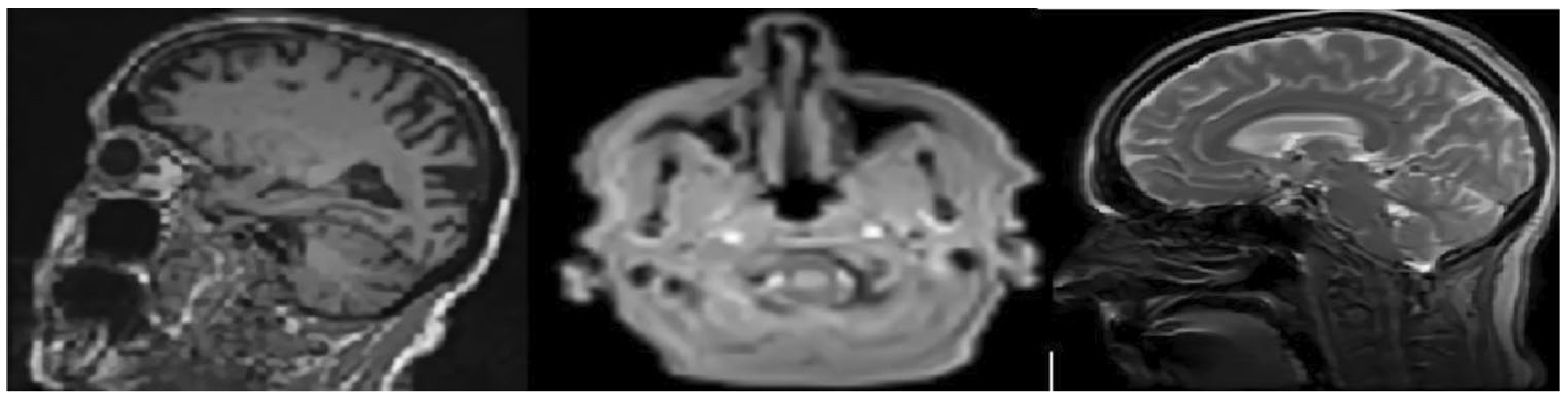 Diagnostics 13 02687 g002