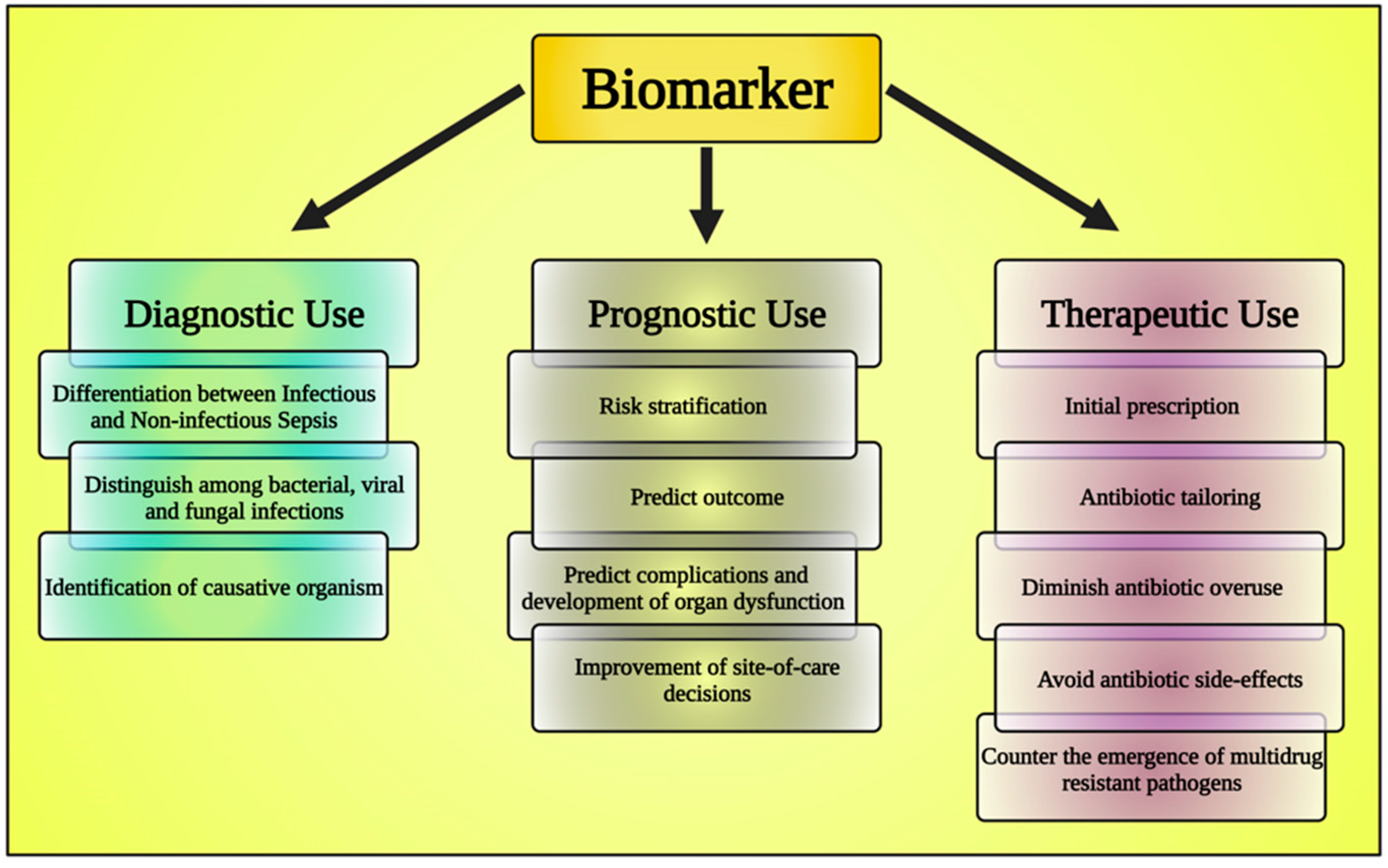 Diagnostics 13 02691 g003